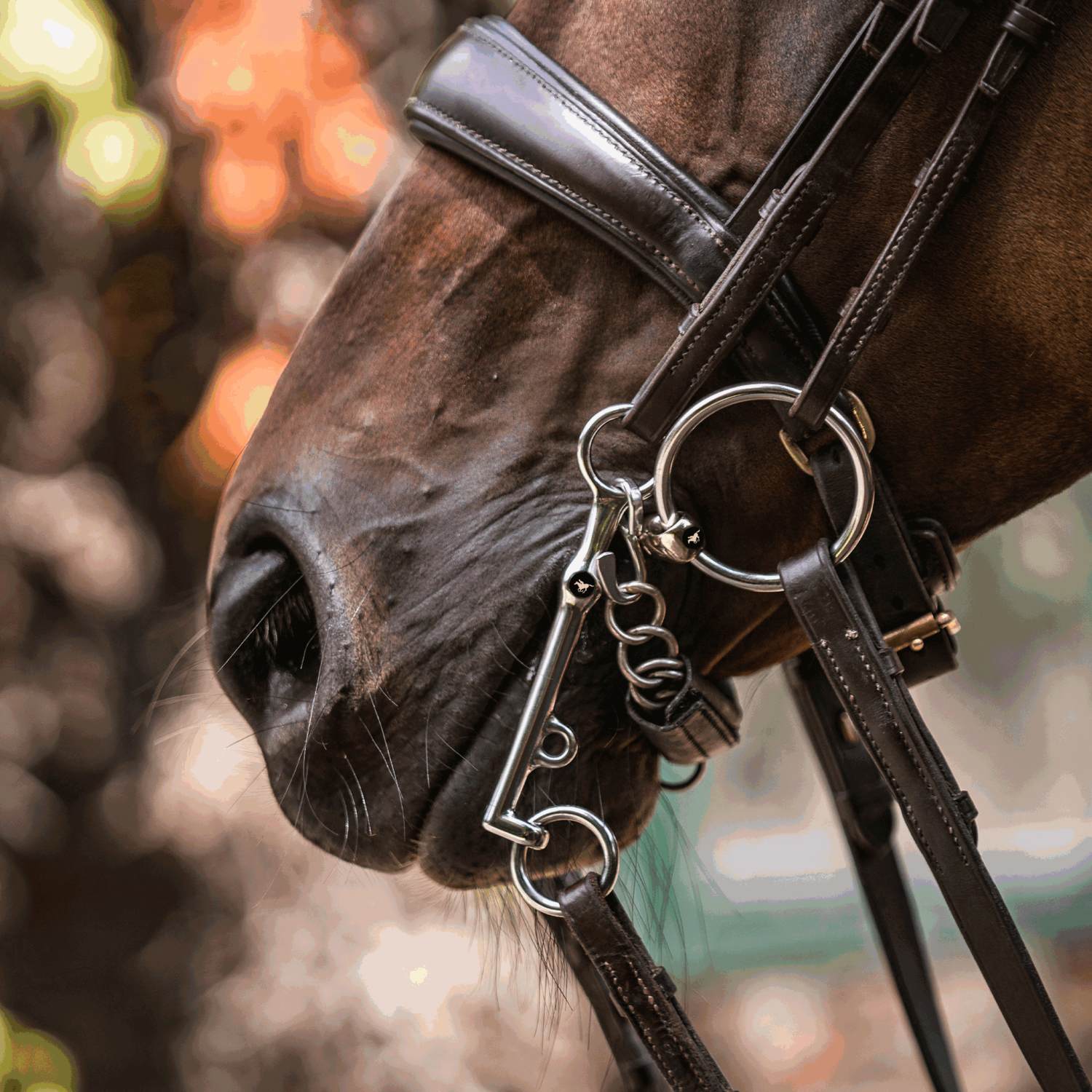 SPRENGER & Ingrid Klimke HO Kandare Sensogan | 4K273-78_03.png | 1751281263