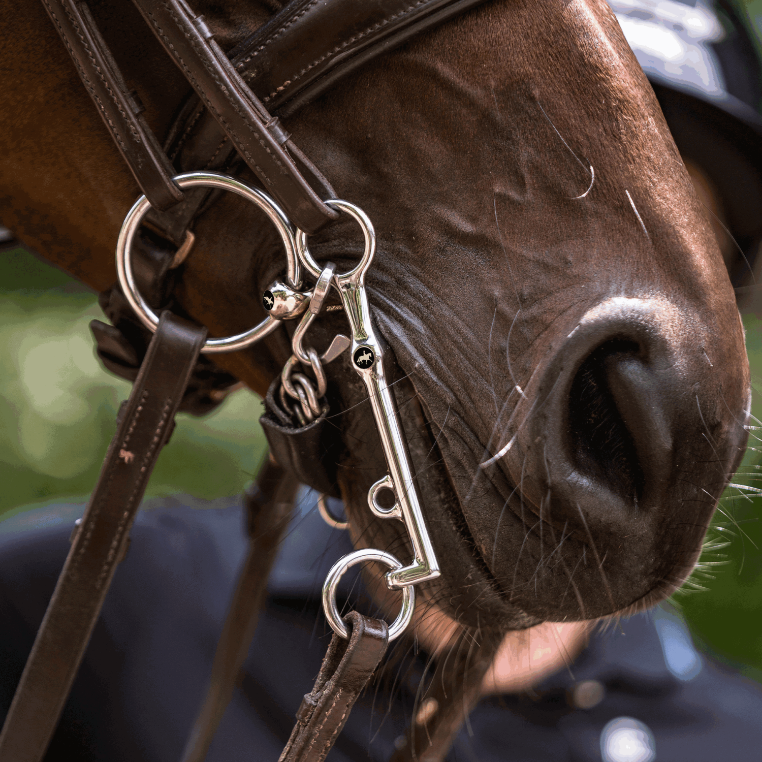 SPRENGER & Ingrid Klimke HO Kandare Sensogan | 4K273-78_04.png | 1746716432