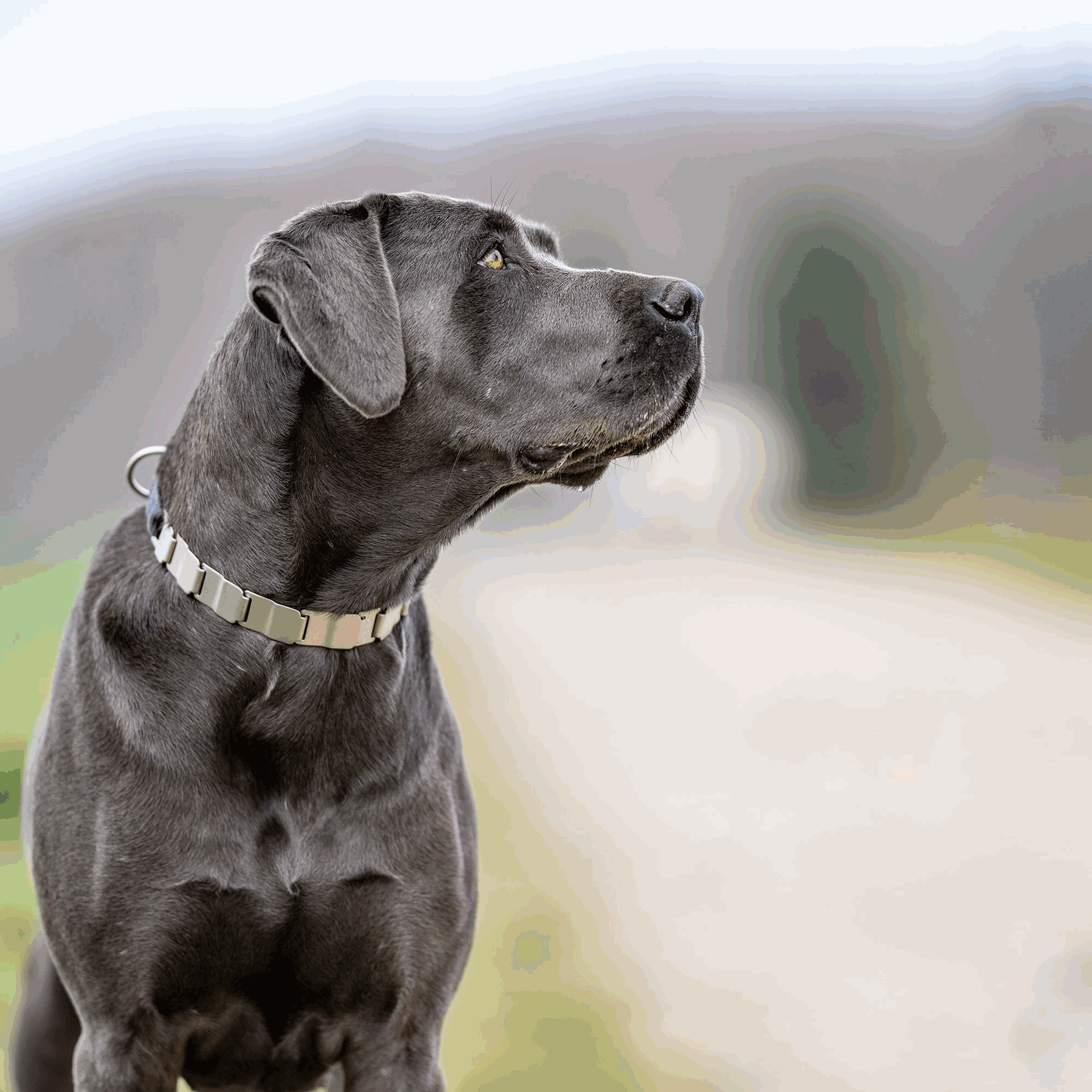 NeckTech Fun mit ClicLock Edelstahl Rostfrei | 50050_55-9.png | 1731103327