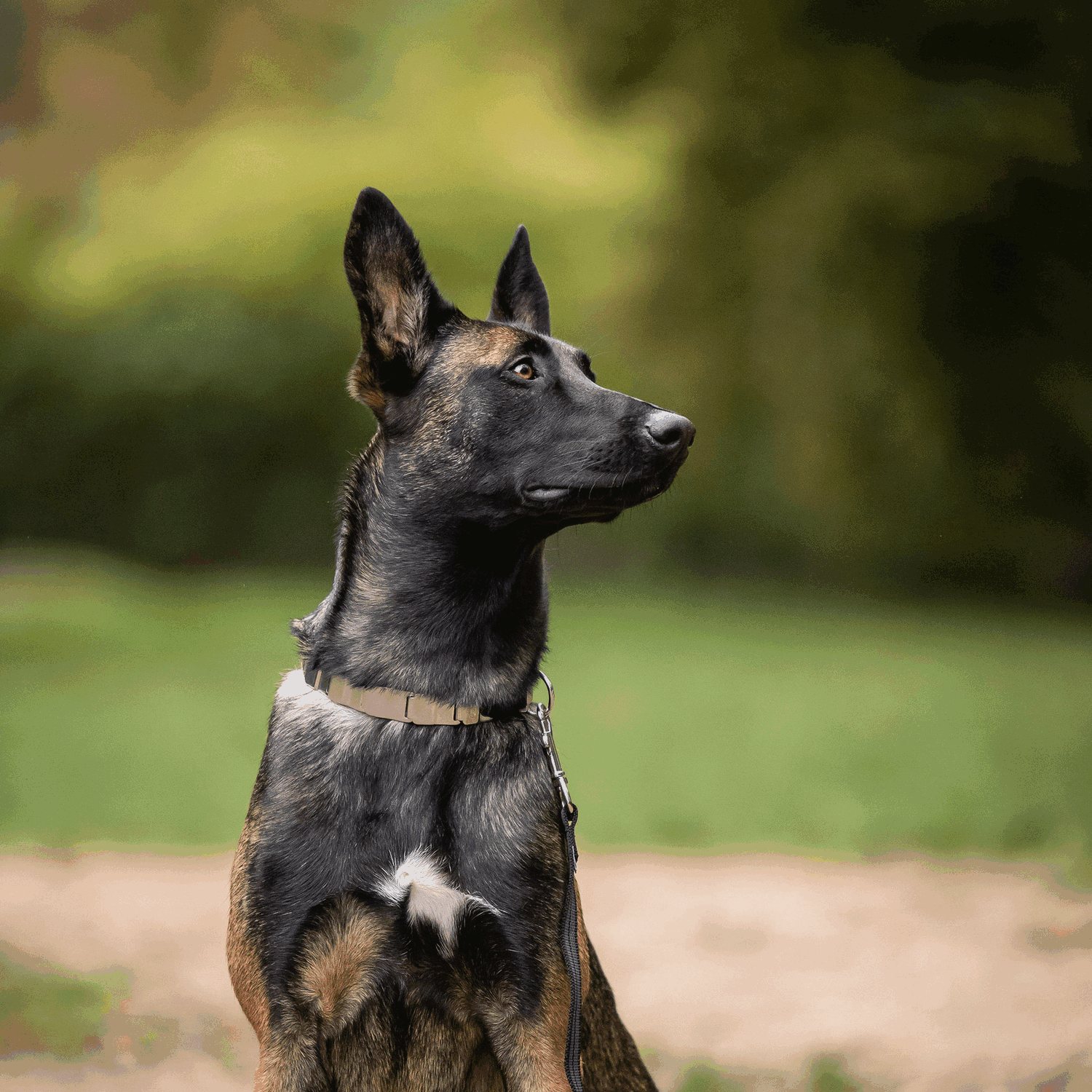 NeckTech Fun mit ClicLock Edelstahl Rostfrei | 50051_55-1.png | 1731103334