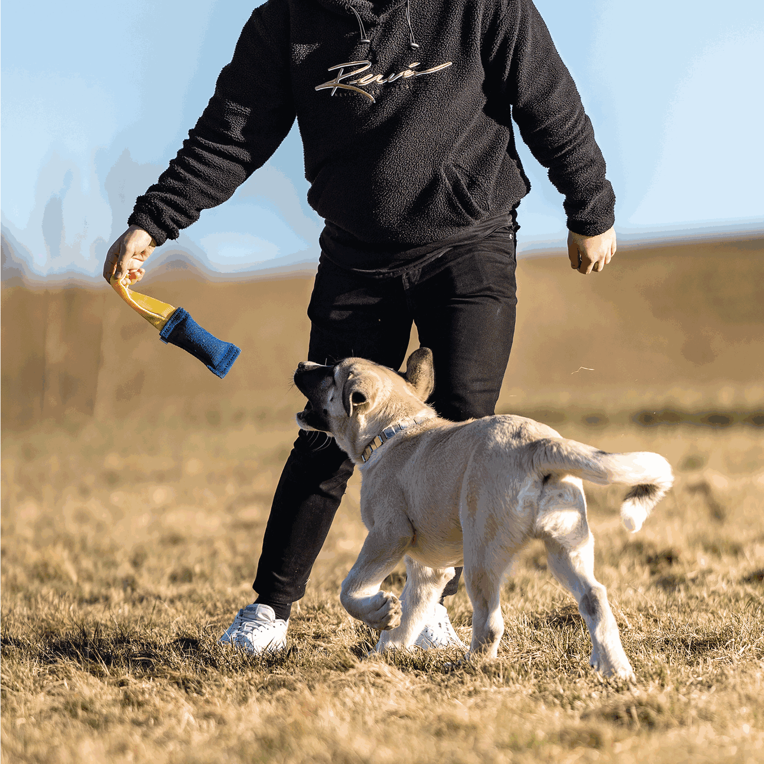 NeckTech Fun mit ClicLock Edelstahl Rostfrei | 50051_55-4.png | 1731103335