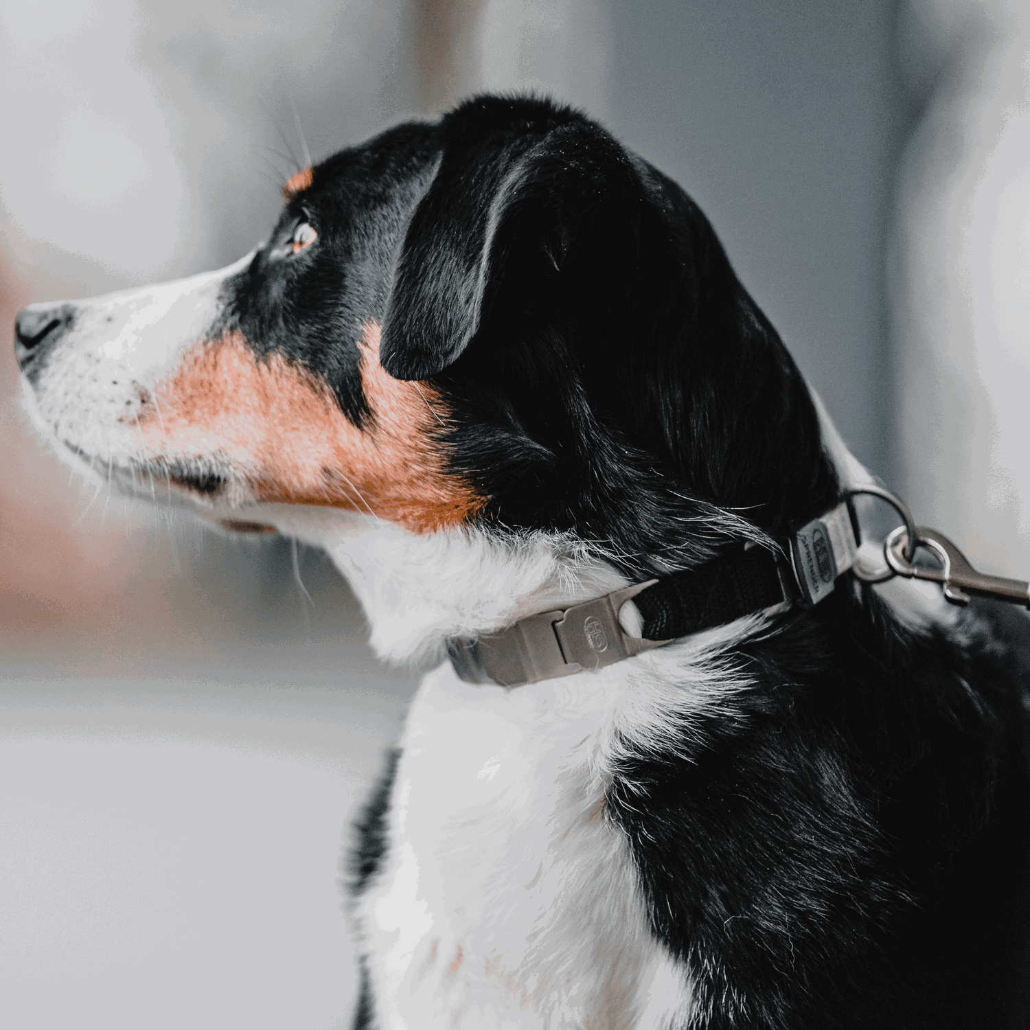 NeckTech Fun mit ClicLock Edelstahl Rostfrei matt | 50051_65-2.png | 1731103339