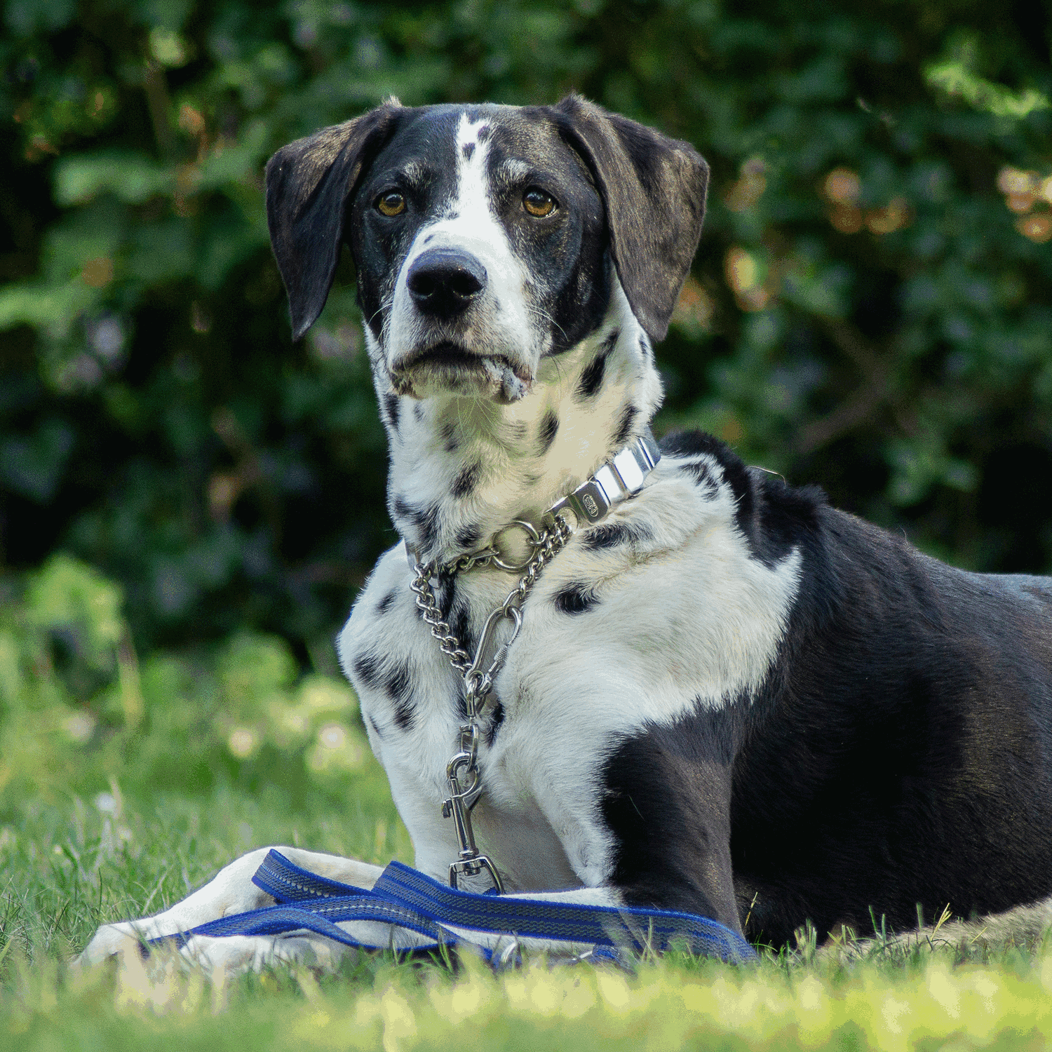 NeckTech Fun mit Durchzugskette Edelstahl Rostfrei | 50156-55-1.png | 1731103348