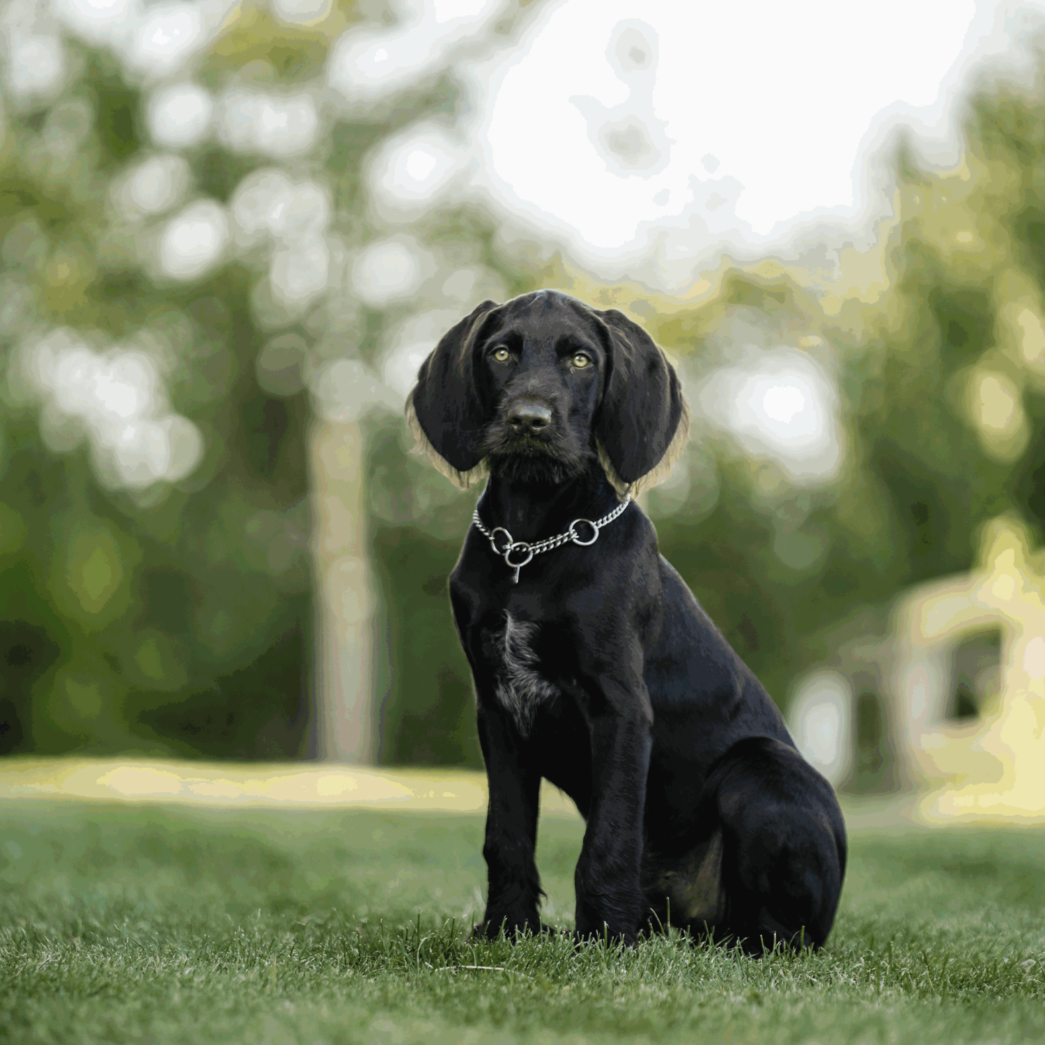 Halskette runde Glieder Edelstahl Rostfrei 2 5 mm | 50982-55_03.png | 1731102983