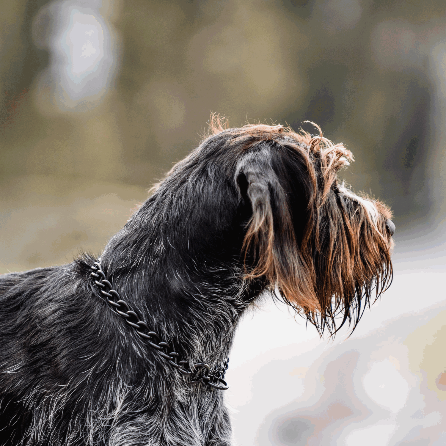 Halskette runde Glieder Edelstahl Rostfrei schwarz 4 mm | 51382-57_1.png | 1731103181