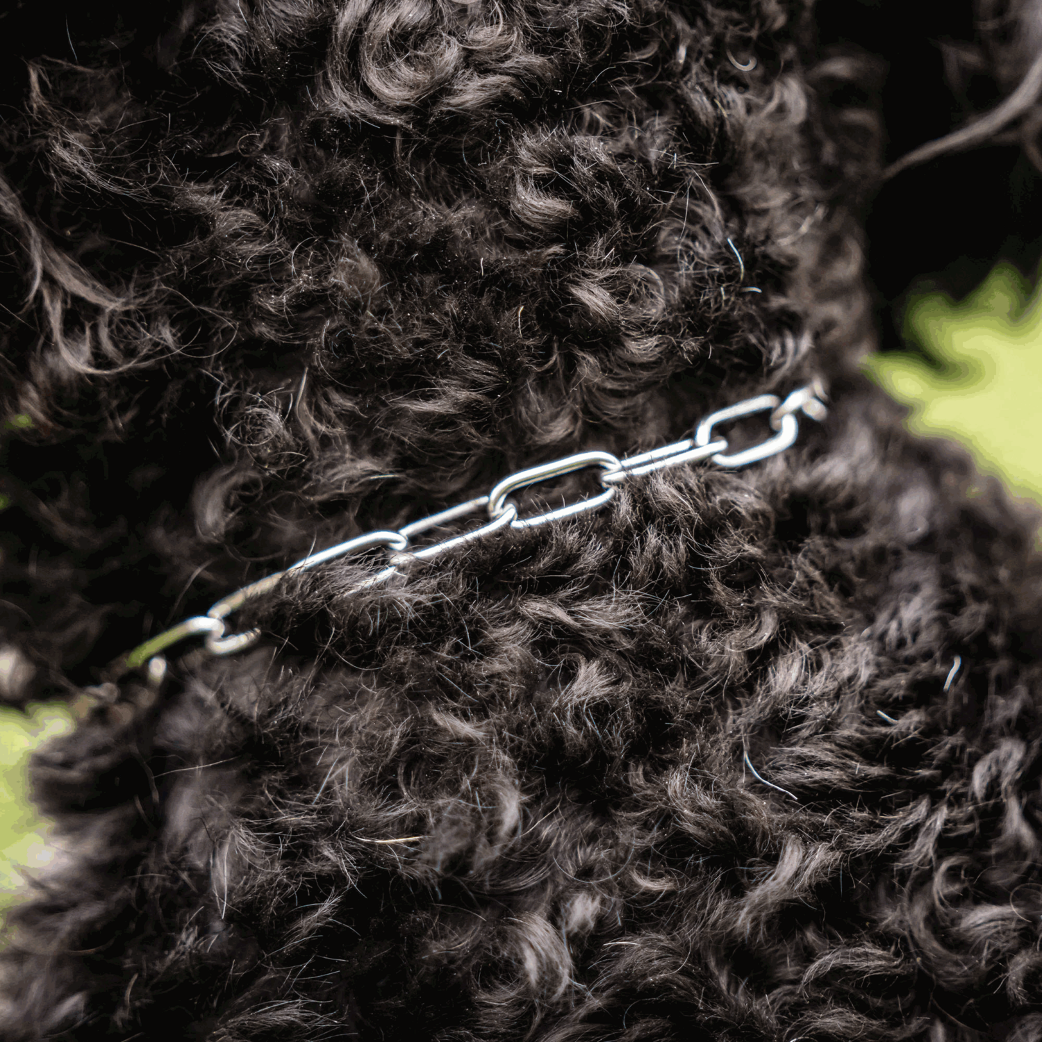 Halskette Edelstahl Rostfrei 2 mm | 51441-55_5.png | 1731103010