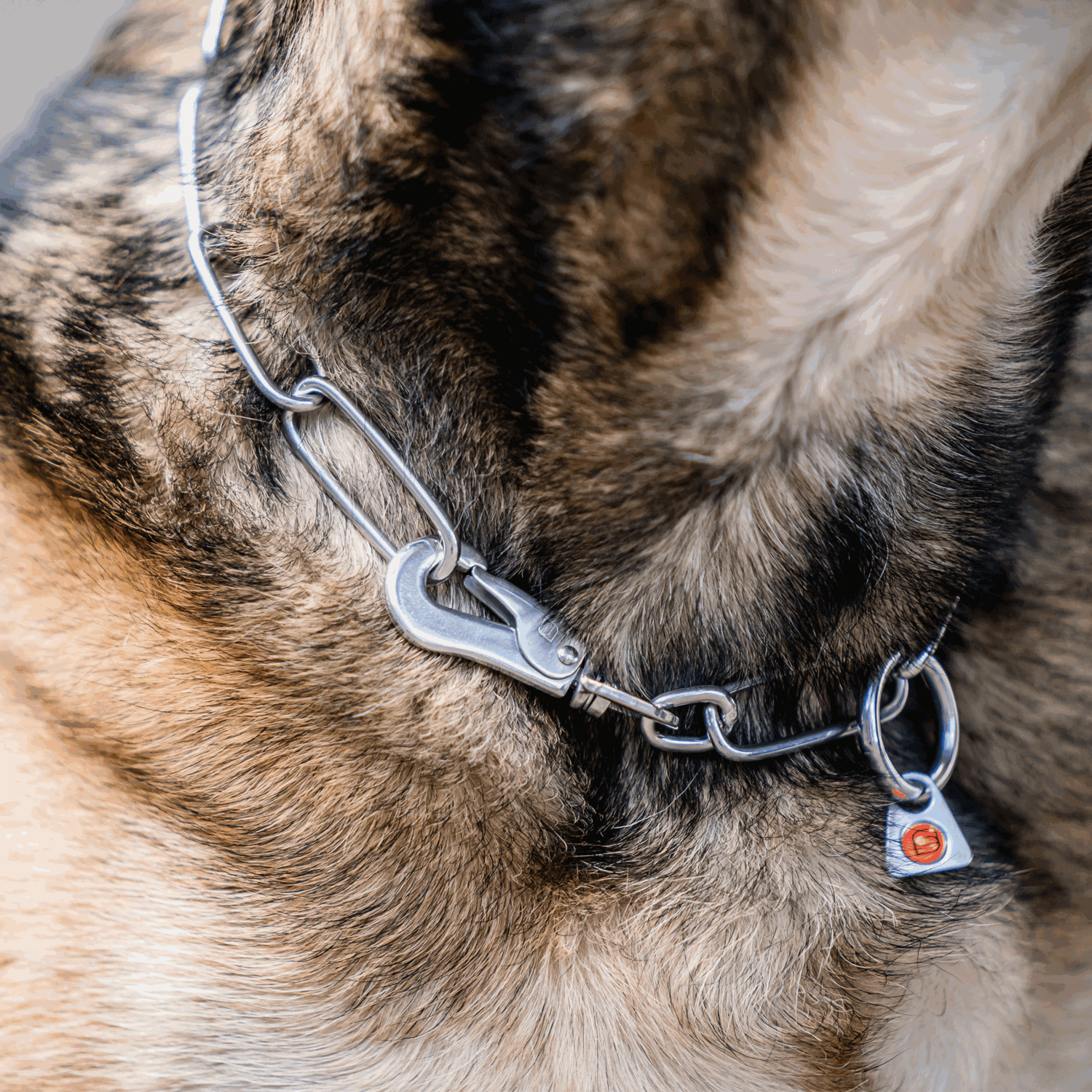 Halskette langgliedrig verstellbar mit SPRENGER Haken Edelstahl Rostfrei 3 mm | 51502-55_2.png | 1747209669