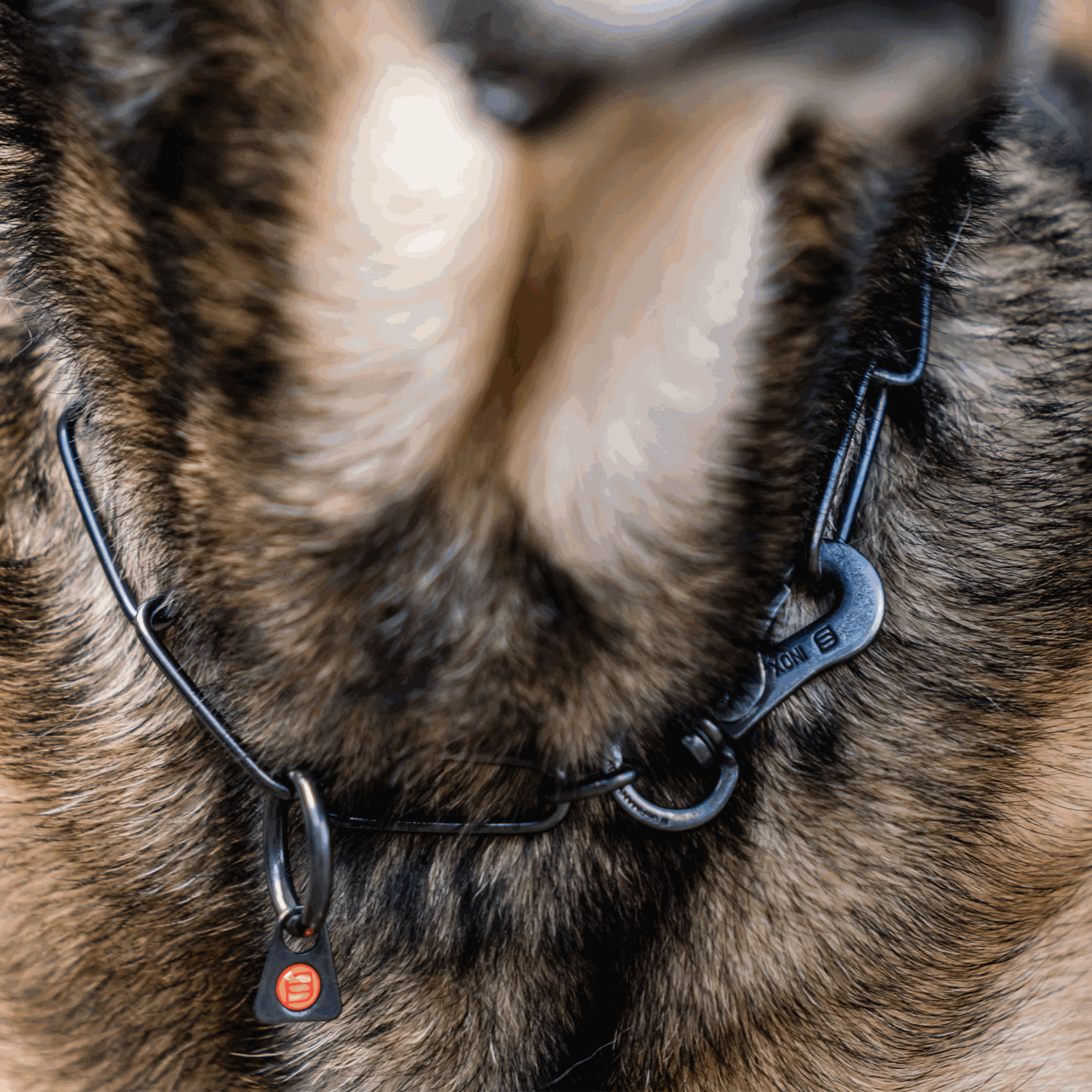 Halskette langgliedrig verstellbar mit SPRENGER Haken Edelstahl Rostfrei schwarz 3 mm | 51502-57_2.png | 1747209697