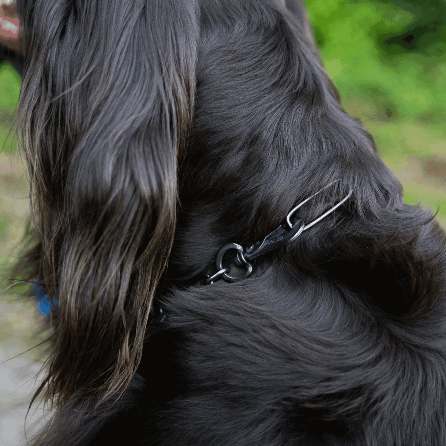 Halskette langgliedrig verstellbar mit SPRENGER Haken Edelstahl Rostfrei schwarz 3 mm | 51502-57_5.png