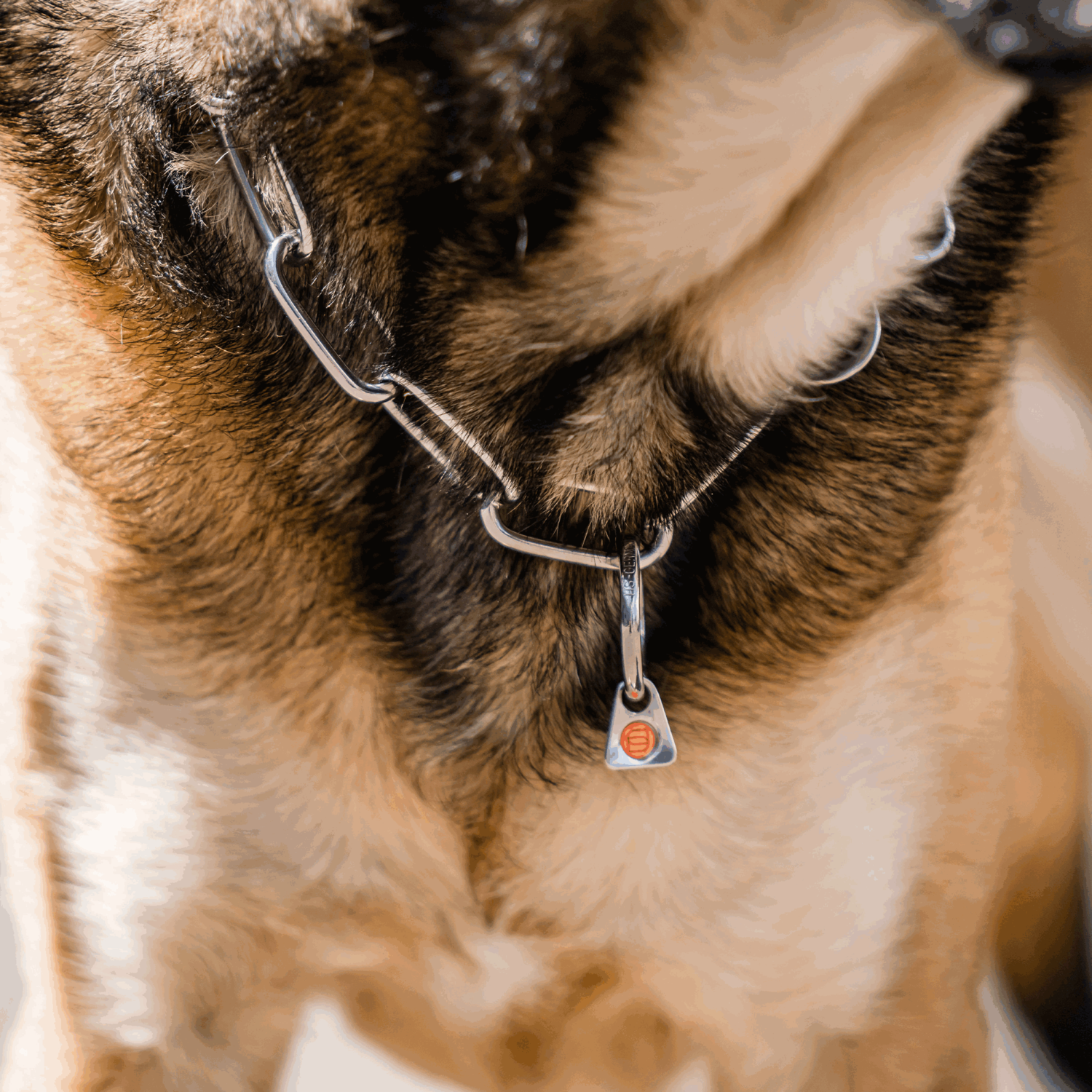 Halskette langgliedrig verstellbar mit SPRENGER Haken Edelstahl Rostfrei 4 mm | 51602-55_2.png | 1747209682