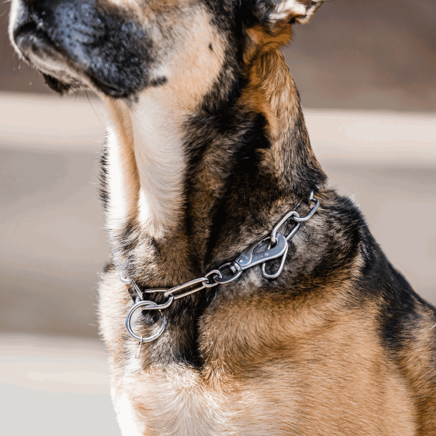 Halskette langgliedrig verstellbar mit SPRENGER Haken Edelstahl Rostfrei 4 mm | 51602-55_3.png | 1747209686