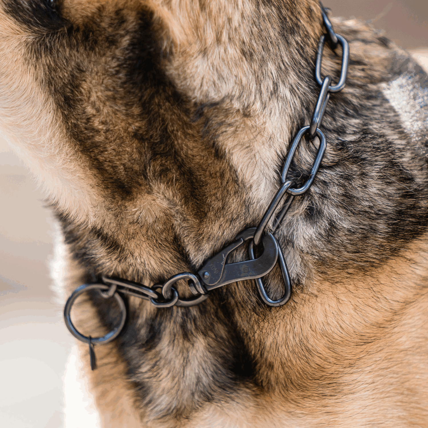 Halskette langgliedrig verstellbar mit SPRENGER Haken Edelstahl Rostfrei schwarz 4 mm | 51602-57_2.png | 1747209712