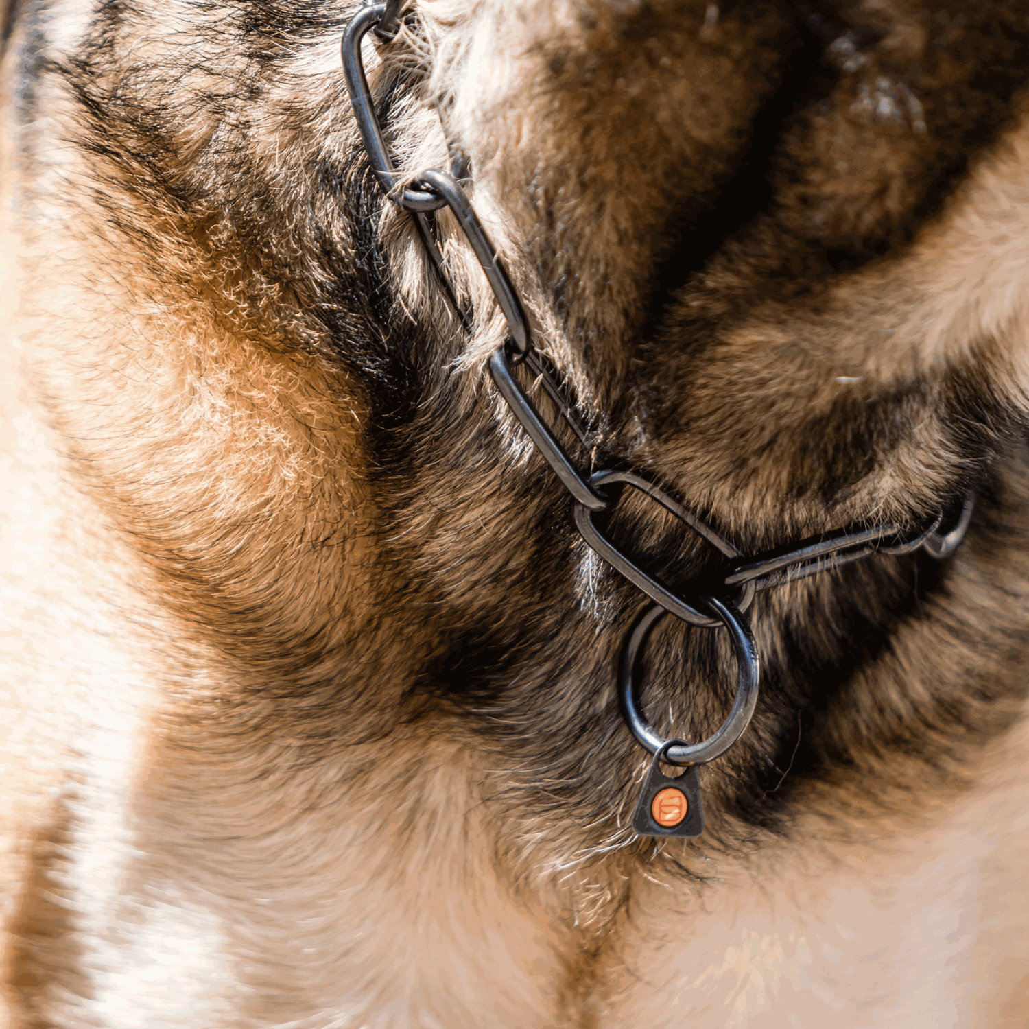 Halskette langgliedrig verstellbar mit SPRENGER Haken Edelstahl Rostfrei schwarz 4 mm | 51602-57_3.png | 1747209716