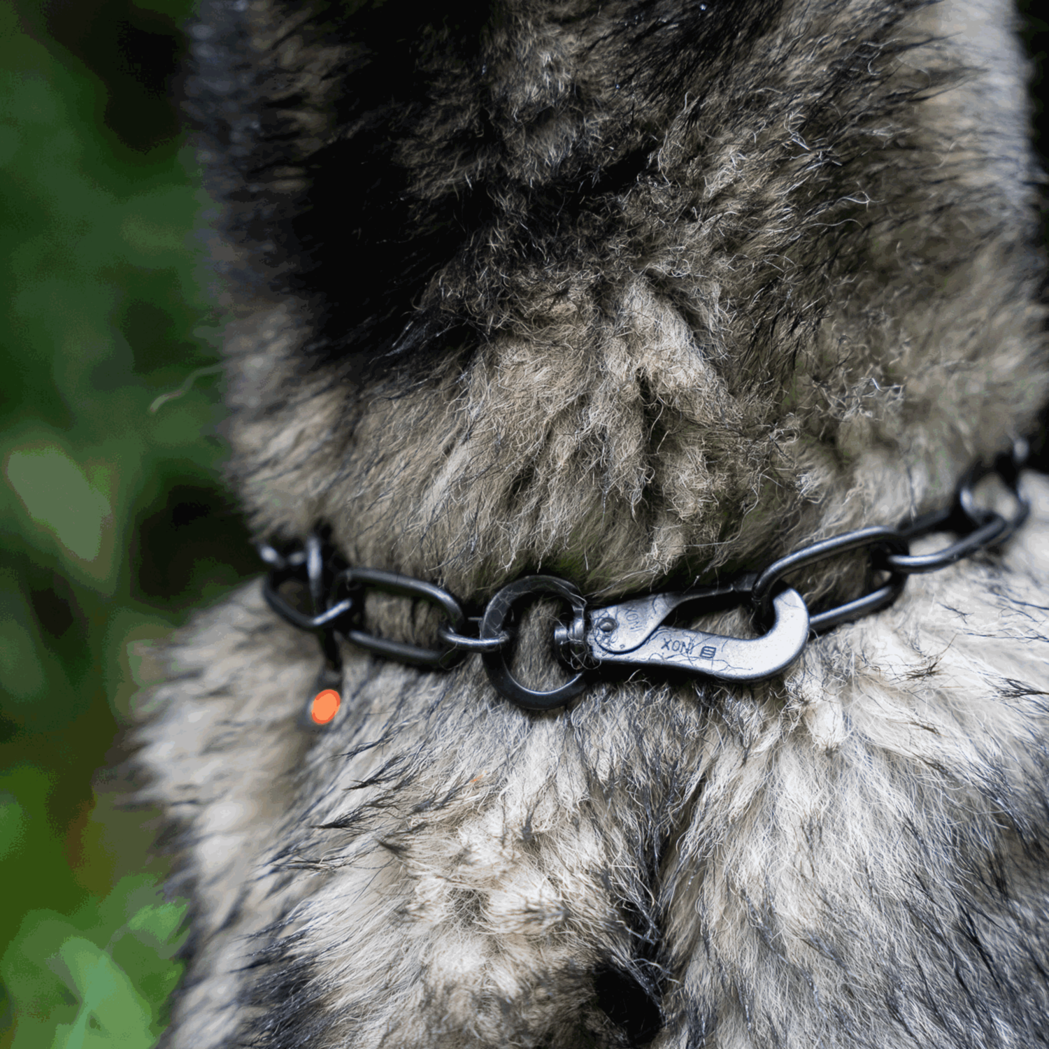 Halskette langgliedrig verstellbar mit SPRENGER Haken Edelstahl Rostfrei schwarz 4 mm | 51602-57_6.png