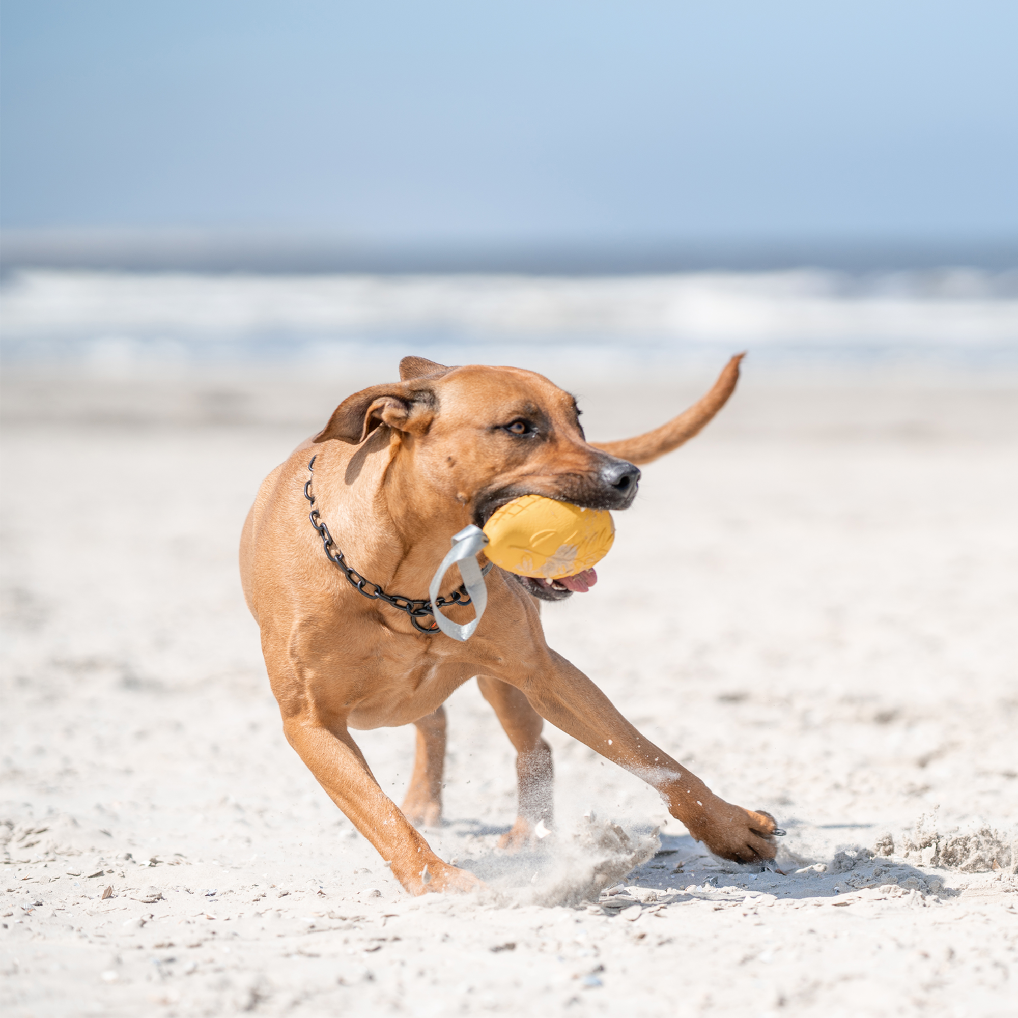 Erstausstattung Hund Set Schwarz | 51647-57-19.png