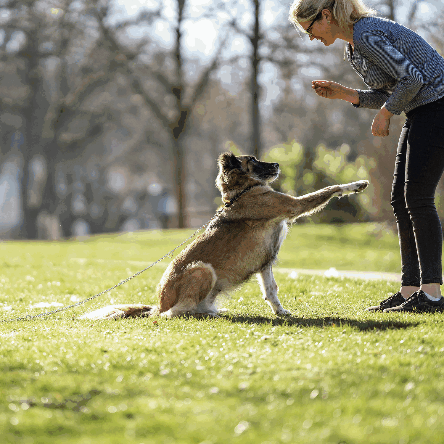 Anlegekette Stahl vernickelt 3 mm 200 cm | 5410020001_4.png | 1731103322