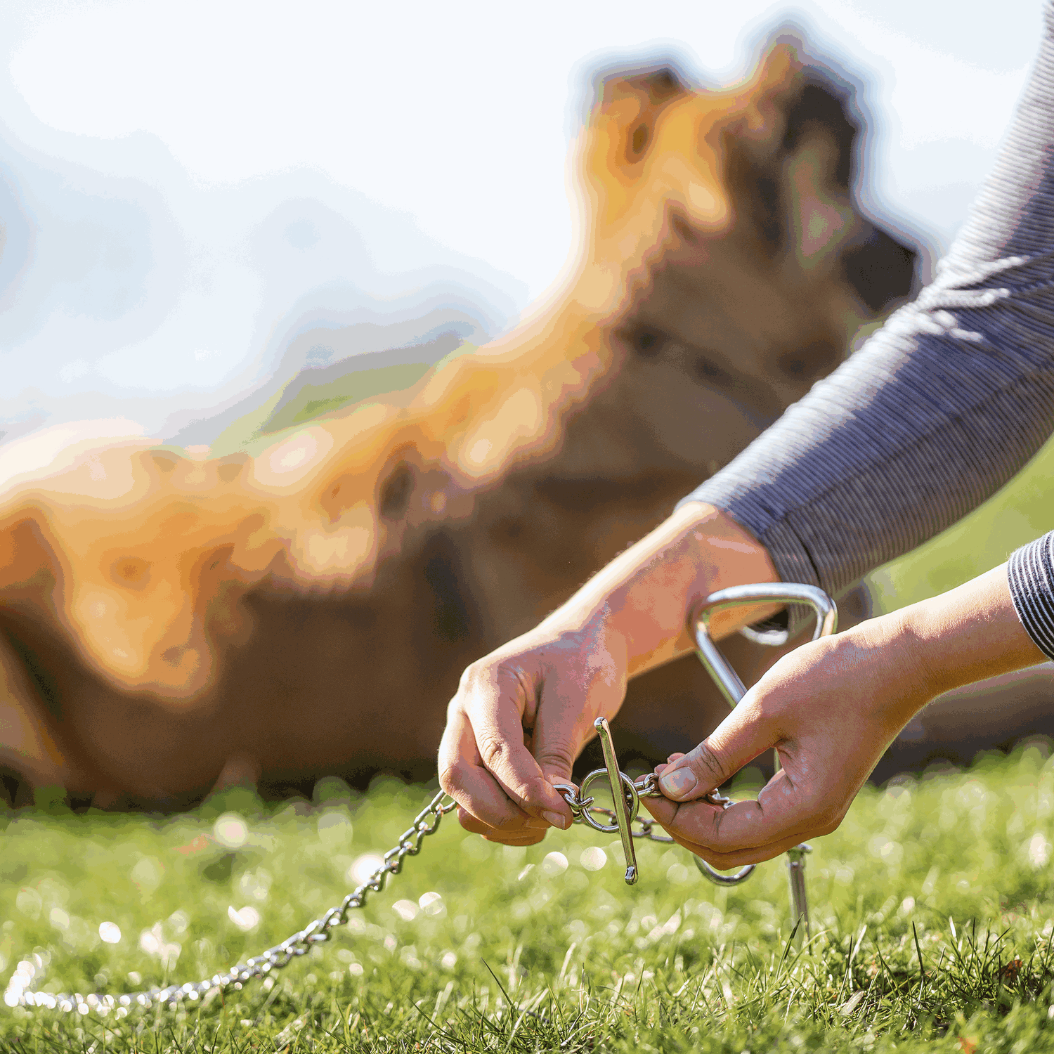 Anlegekette Stahl vernickelt 3 mm 200 cm | 5410020001_9.png | 1731103324