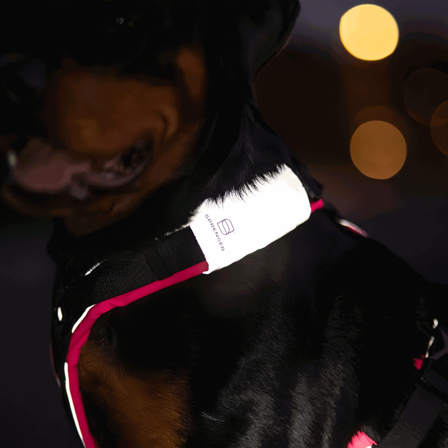 Reflektorpatch Hundegeschirr | 5500030100-1.png