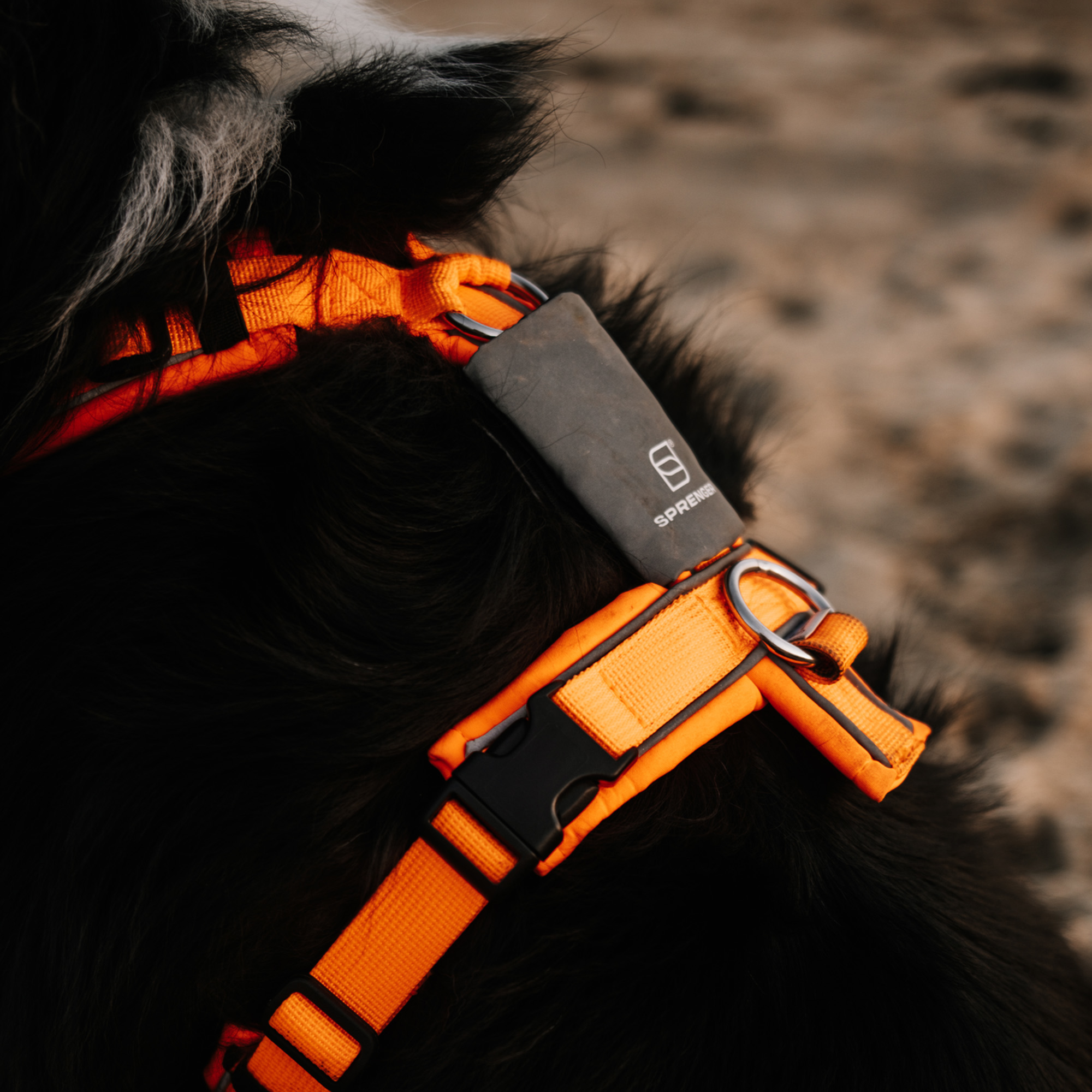 Reflektorpatch Hundegeschirr | 5500030100-6.png