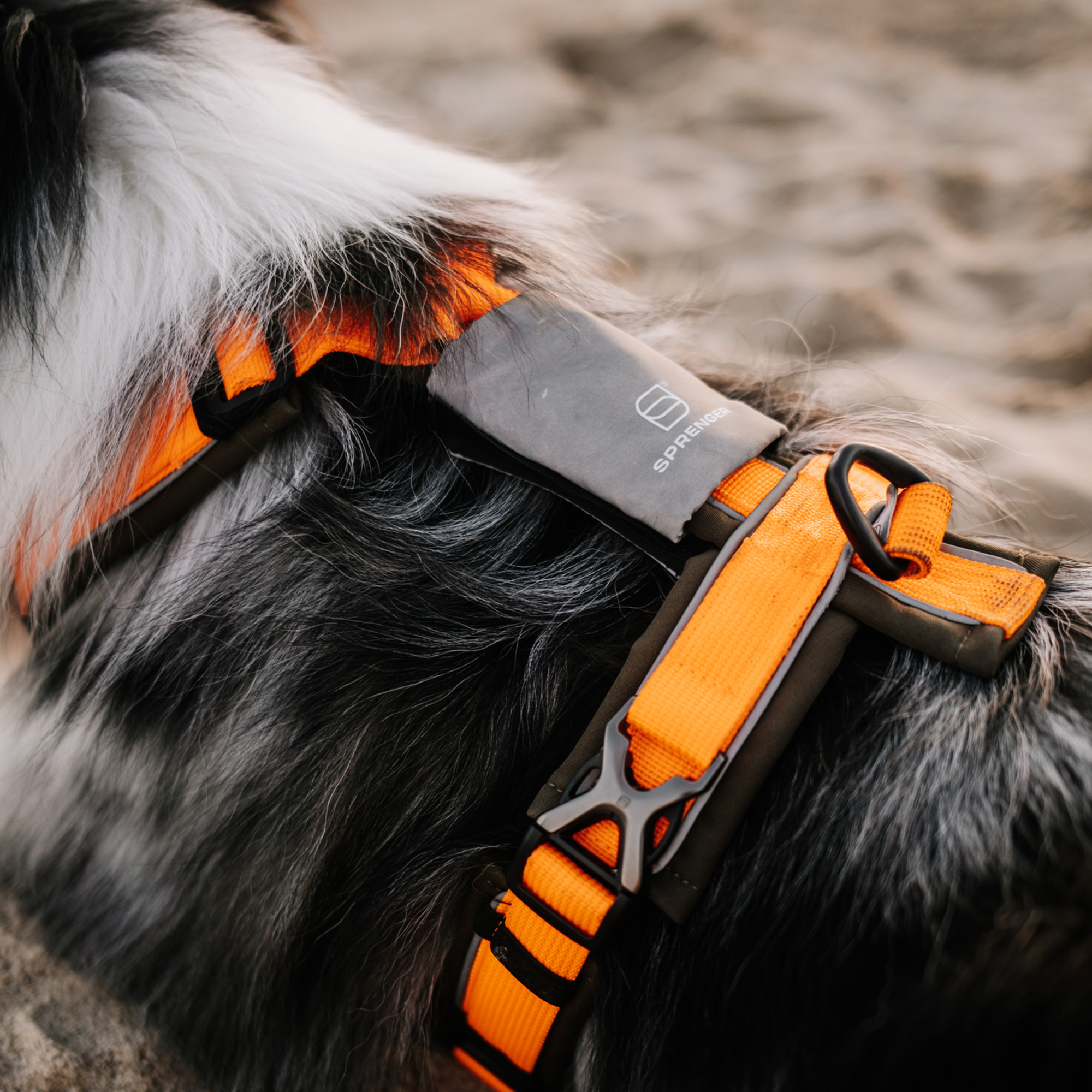 Reflektorpatch Hundegeschirr | 5500030100-7.png
