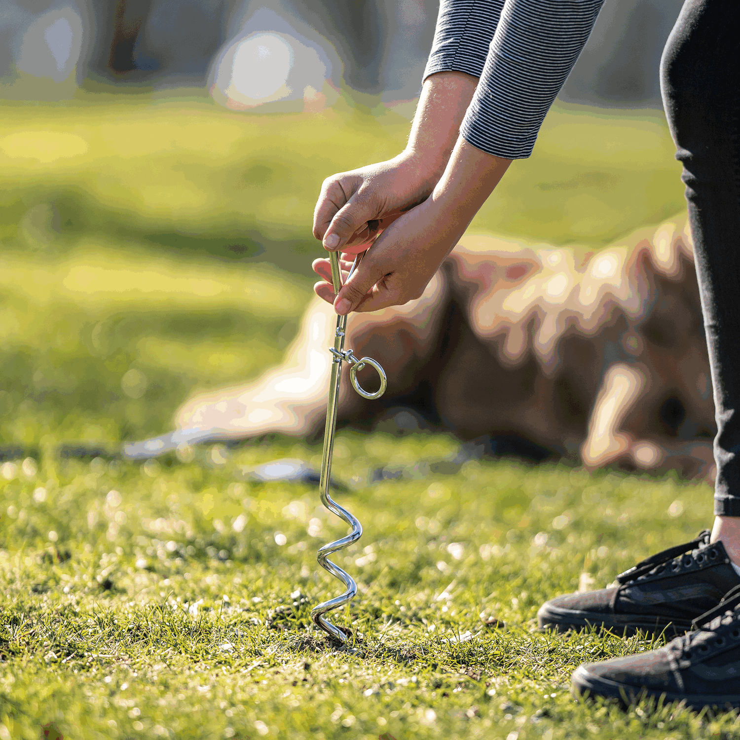 Anlegepflock Stahl verchromt 44 cm | 55990_02_2.png | 1731103502