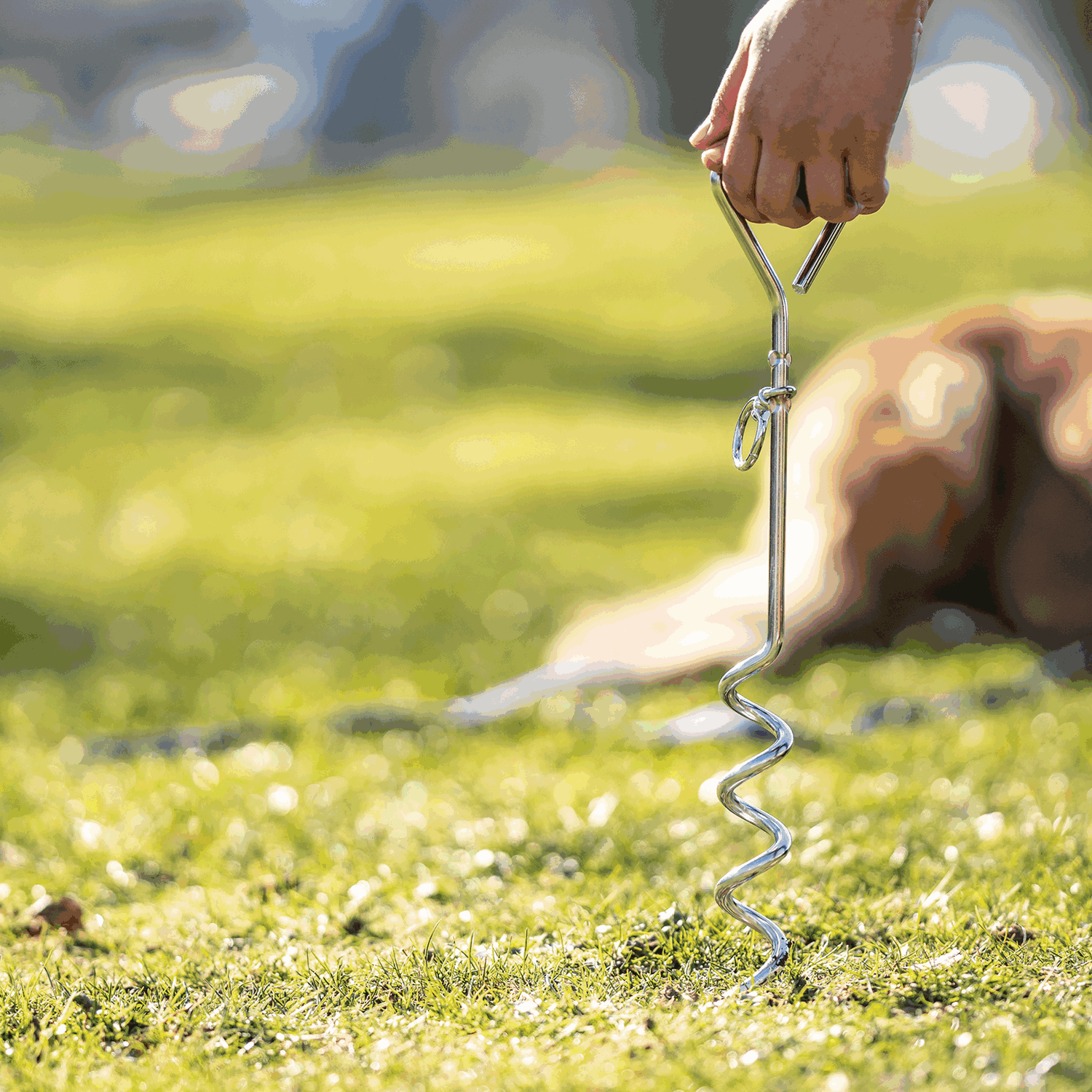 Anlegepflock Stahl verchromt 44 cm | 55990_02_3.png | 1731103502