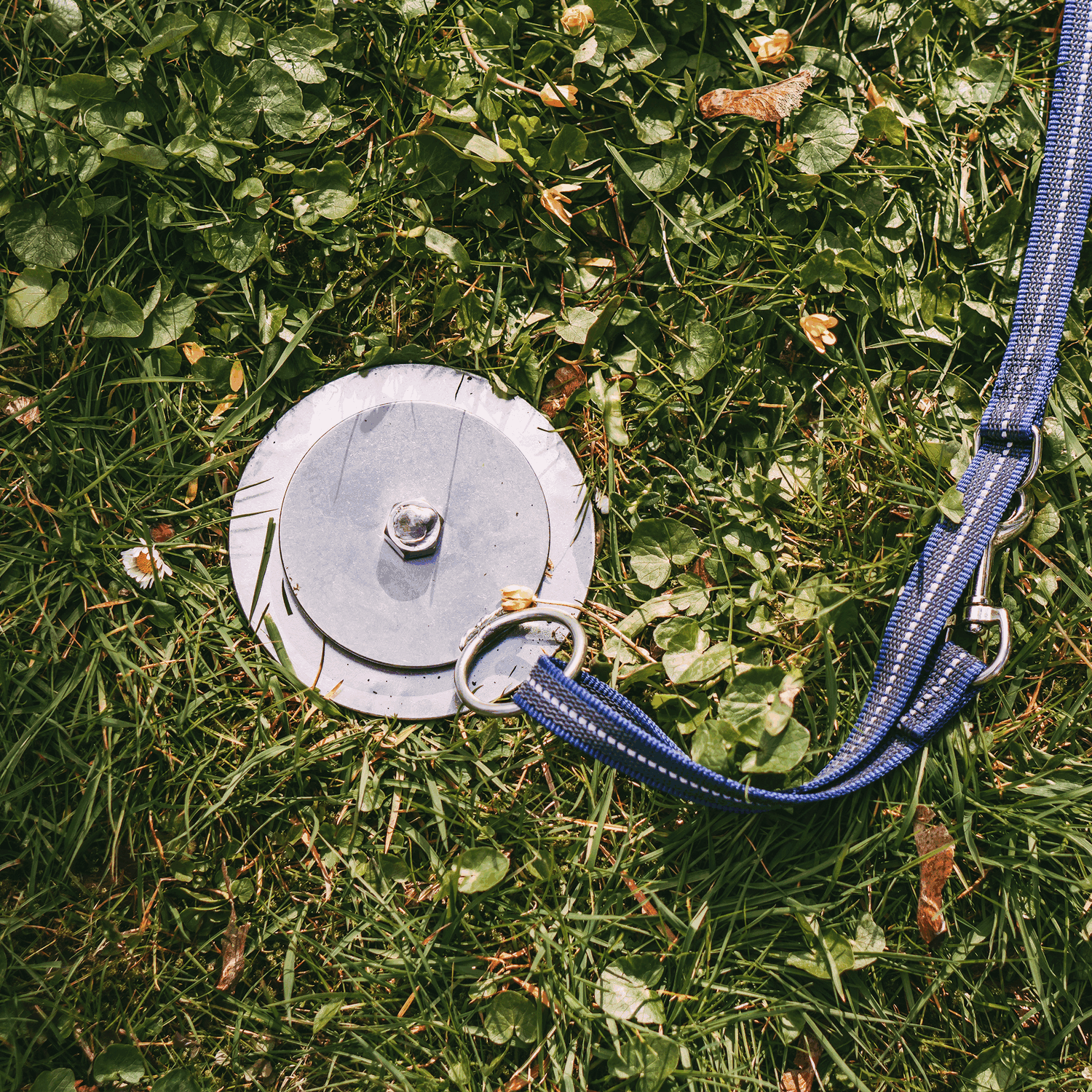 Camping mit Hund Bundle | 55991_55-1.png | 1731103503