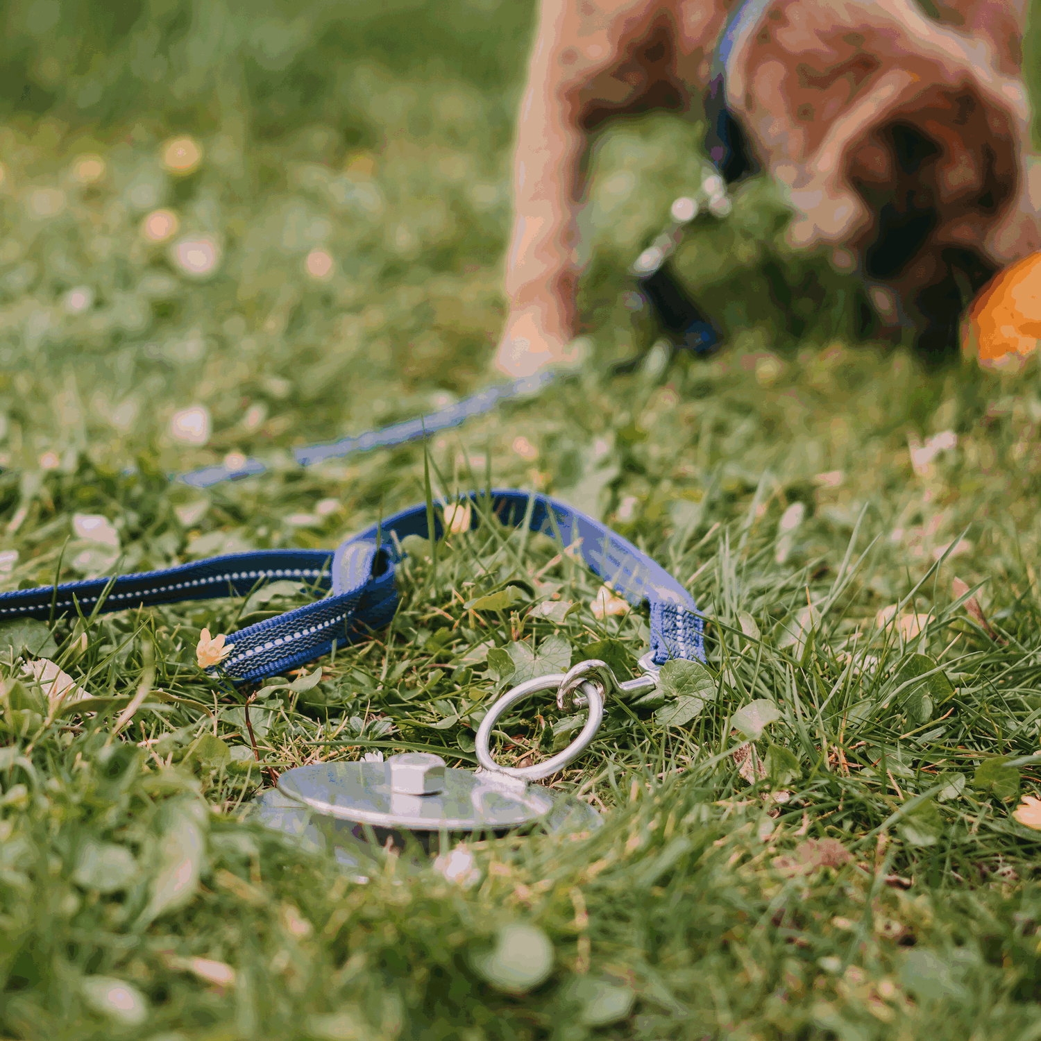 Auslauf Block Edelstahl Rostfrei 40 cm | 55991_55-3.png | 1731103504