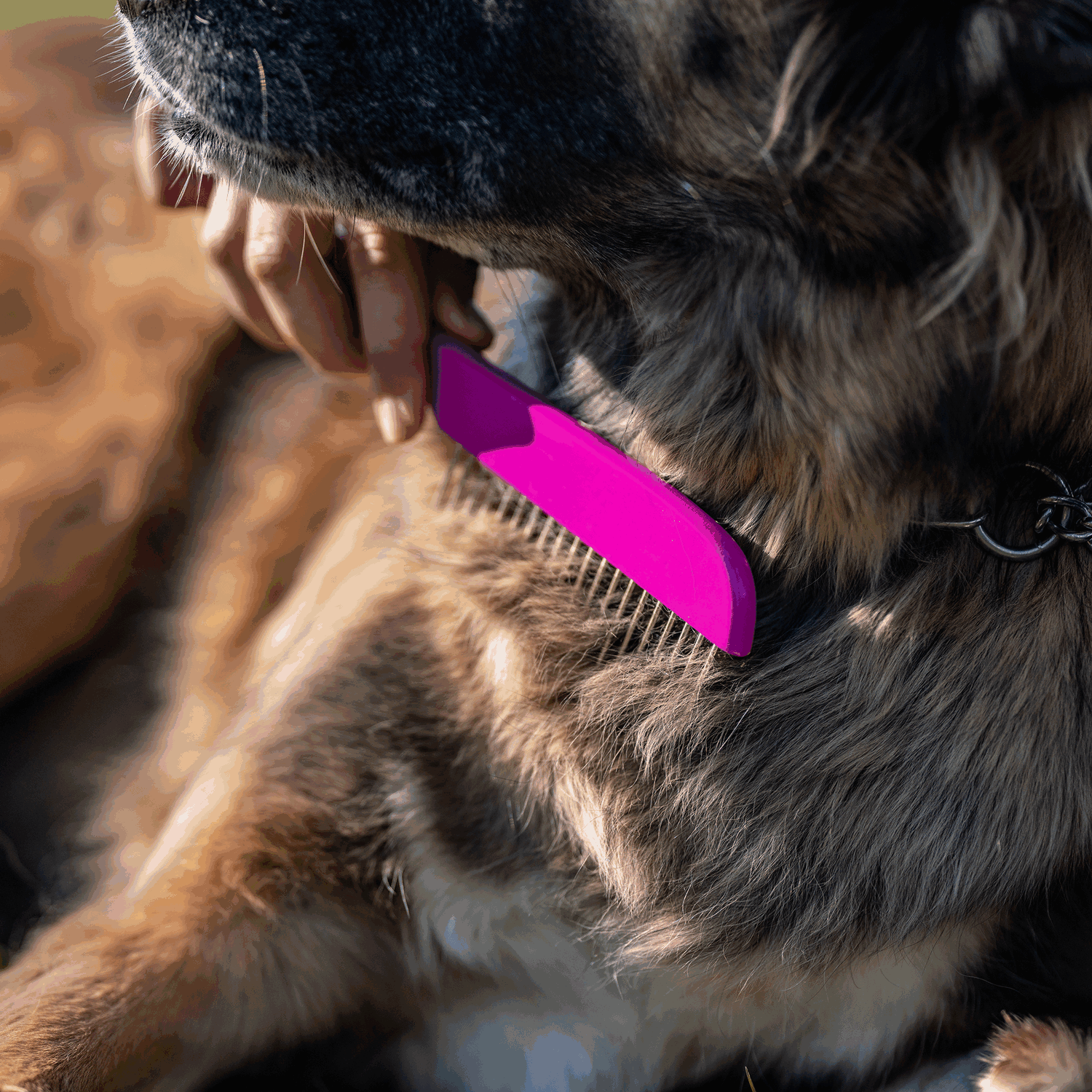 Hundekamm 230 x 25 mm 30 mm Stahlzinken Holz Pink | 5675010001_3.png | 1731103508