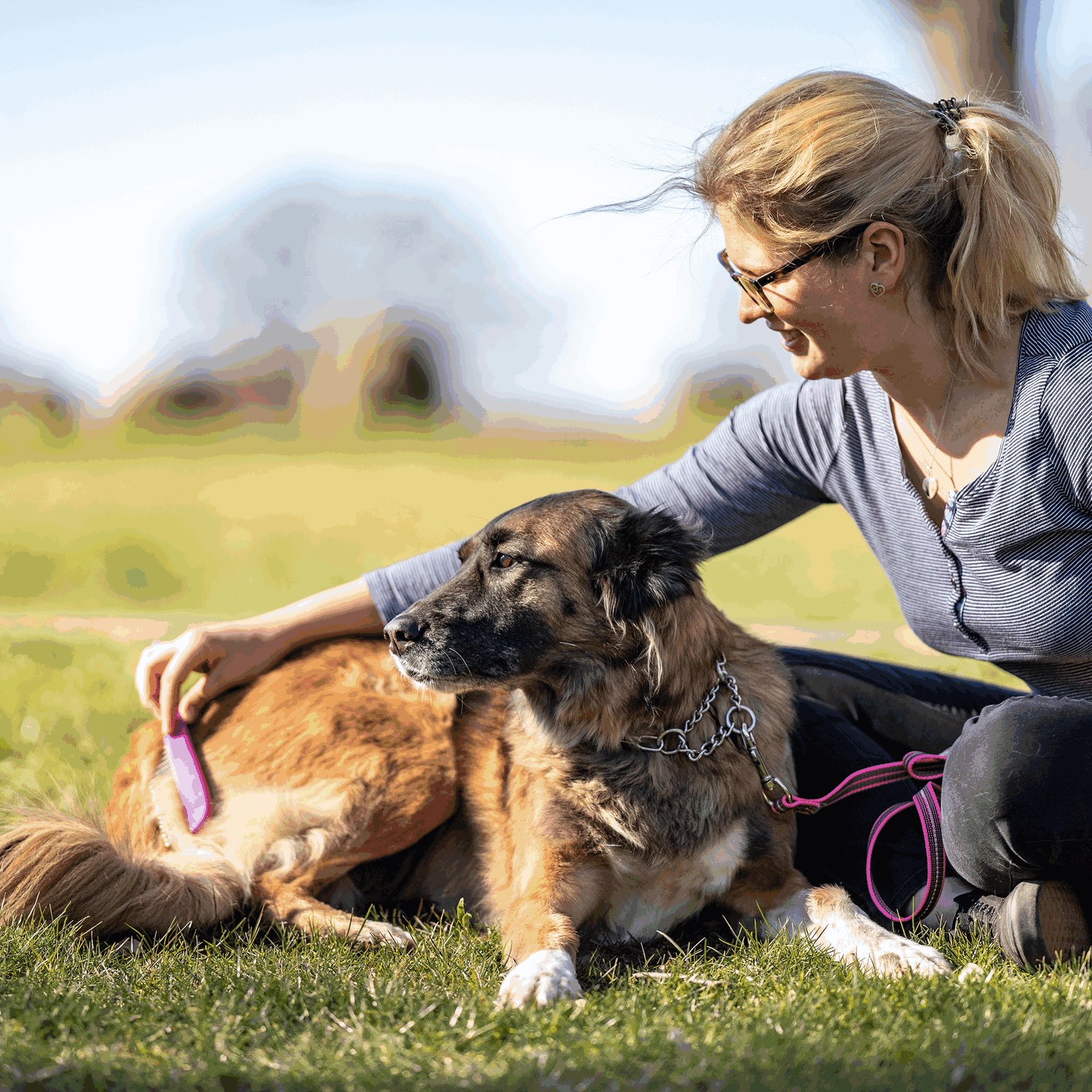 Hundekamm 230 x 25 mm 30 mm Stahlzinken Holz Pink | 5675010001_6.png | 1731103509