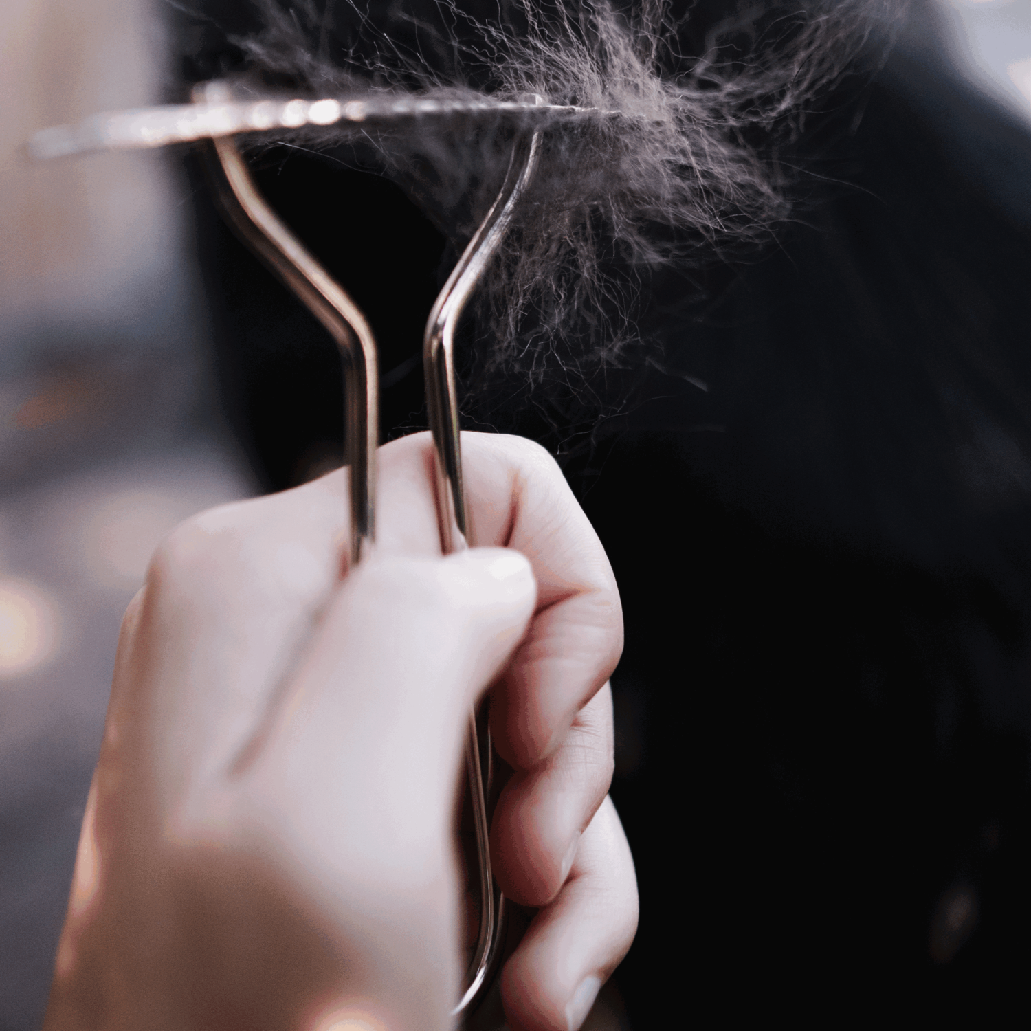 Hundekratzer Stahl vernickelt | 57020_01_16.png | 1731103521