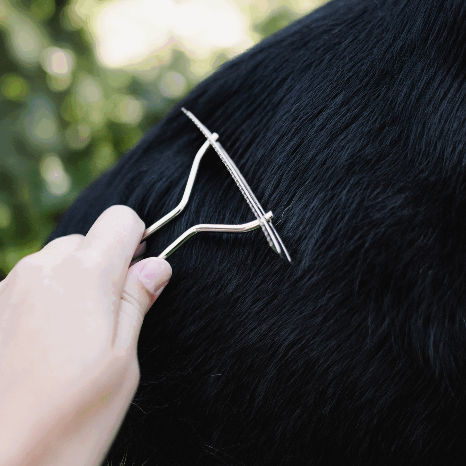 Hundekratzer Stahl vernickelt | 57020_01_9.png | 1731103527