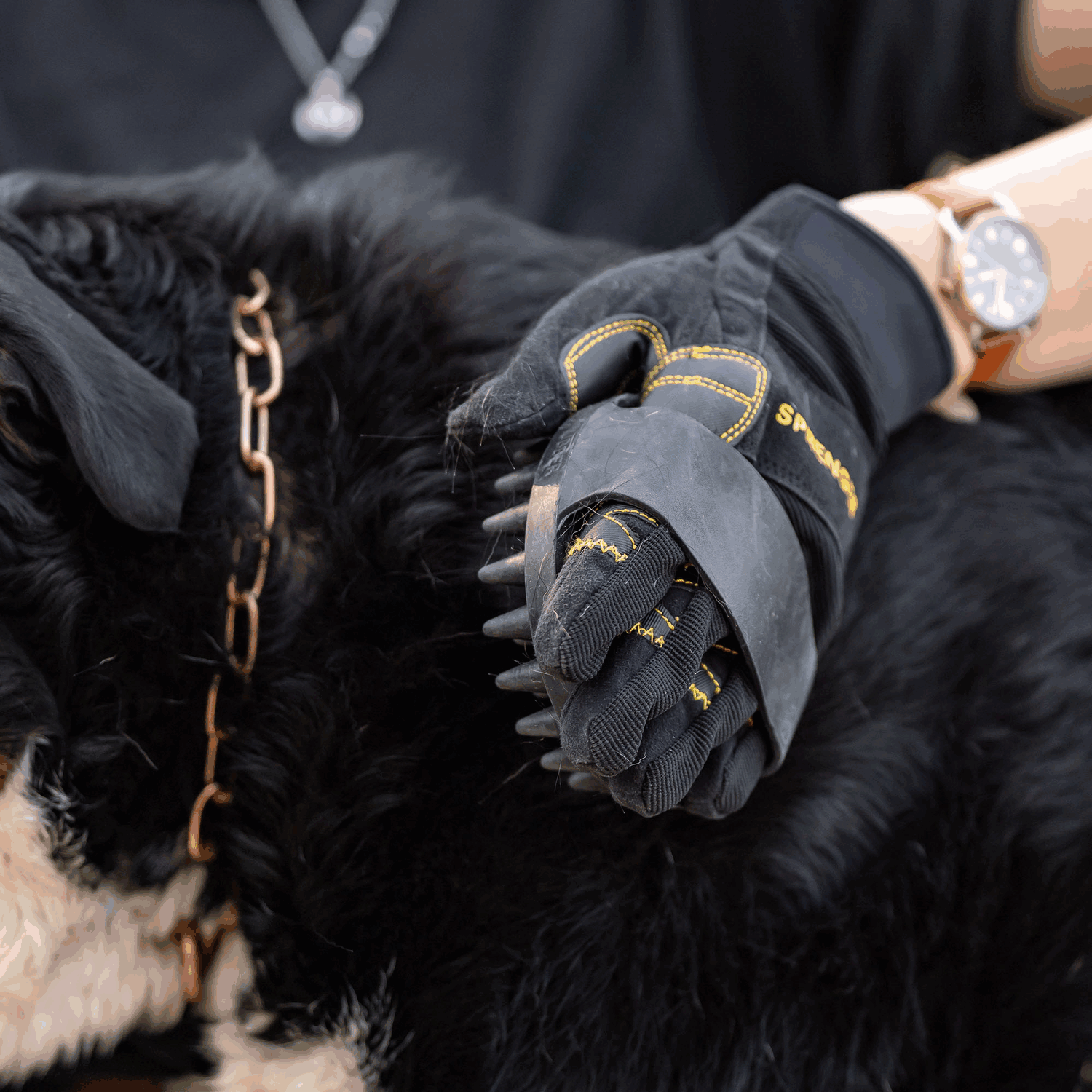 Striegel oval Gummi schwarz 150 x 100 mm | 5713100071_2.png | 1731103540