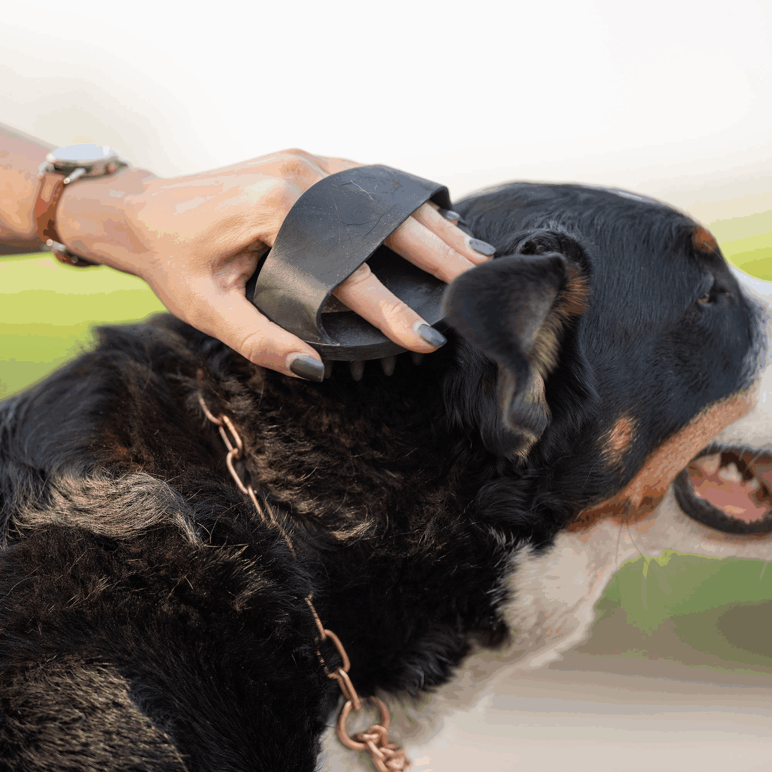 Striegel oval Gummi schwarz 150 x 100 mm | 5713100071_5.png | 1731103541