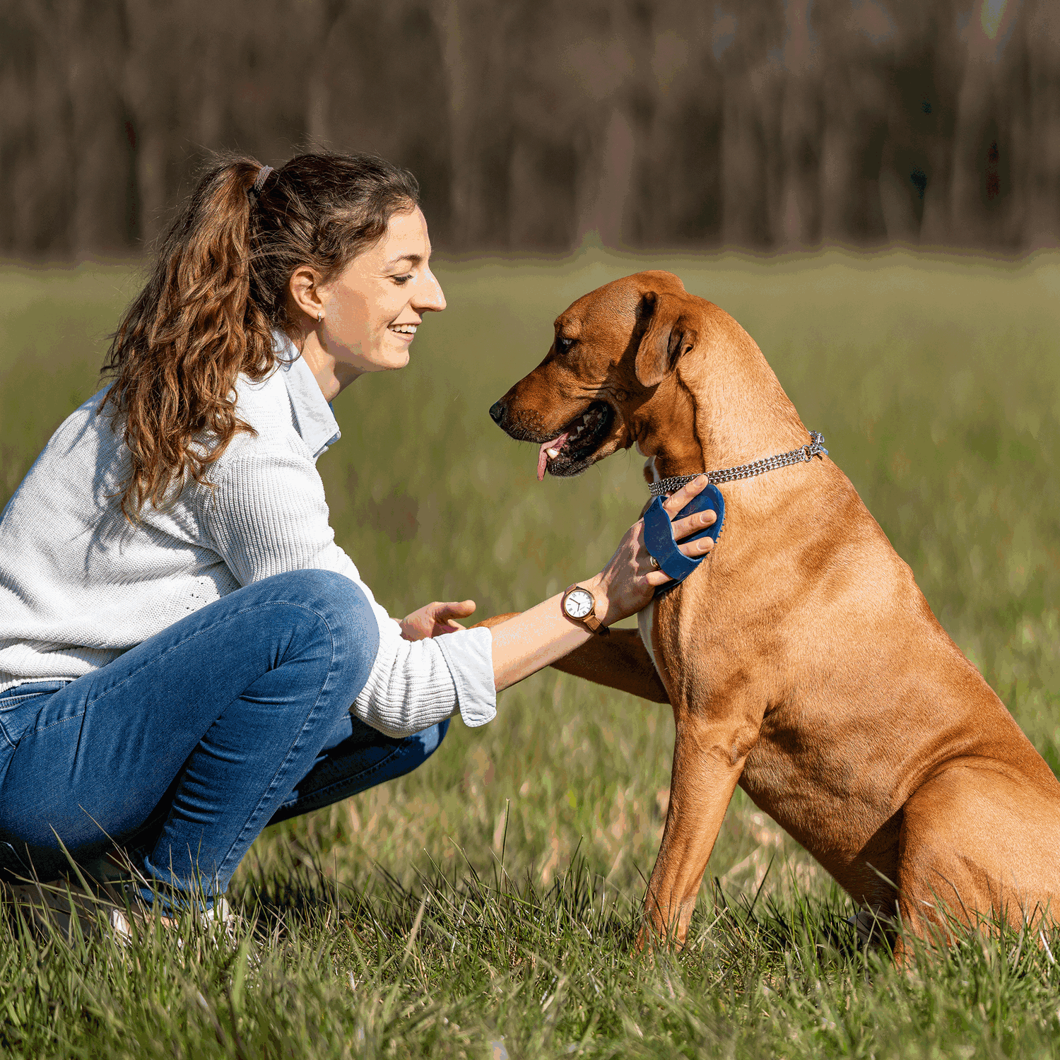 Striegel oval Gummi blau 150 x 100 mm | 5713200076_3.png | 1731103542