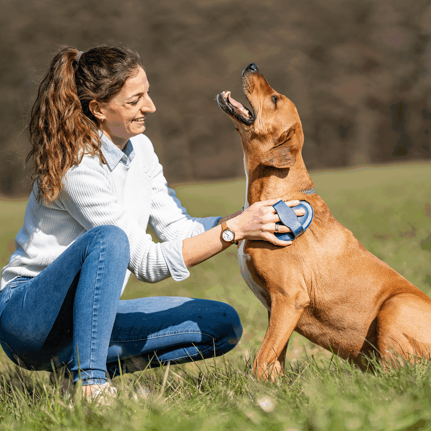 Striegel oval Gummi blau 150 x 100 mm | 5713200076_5.png | 1731103543