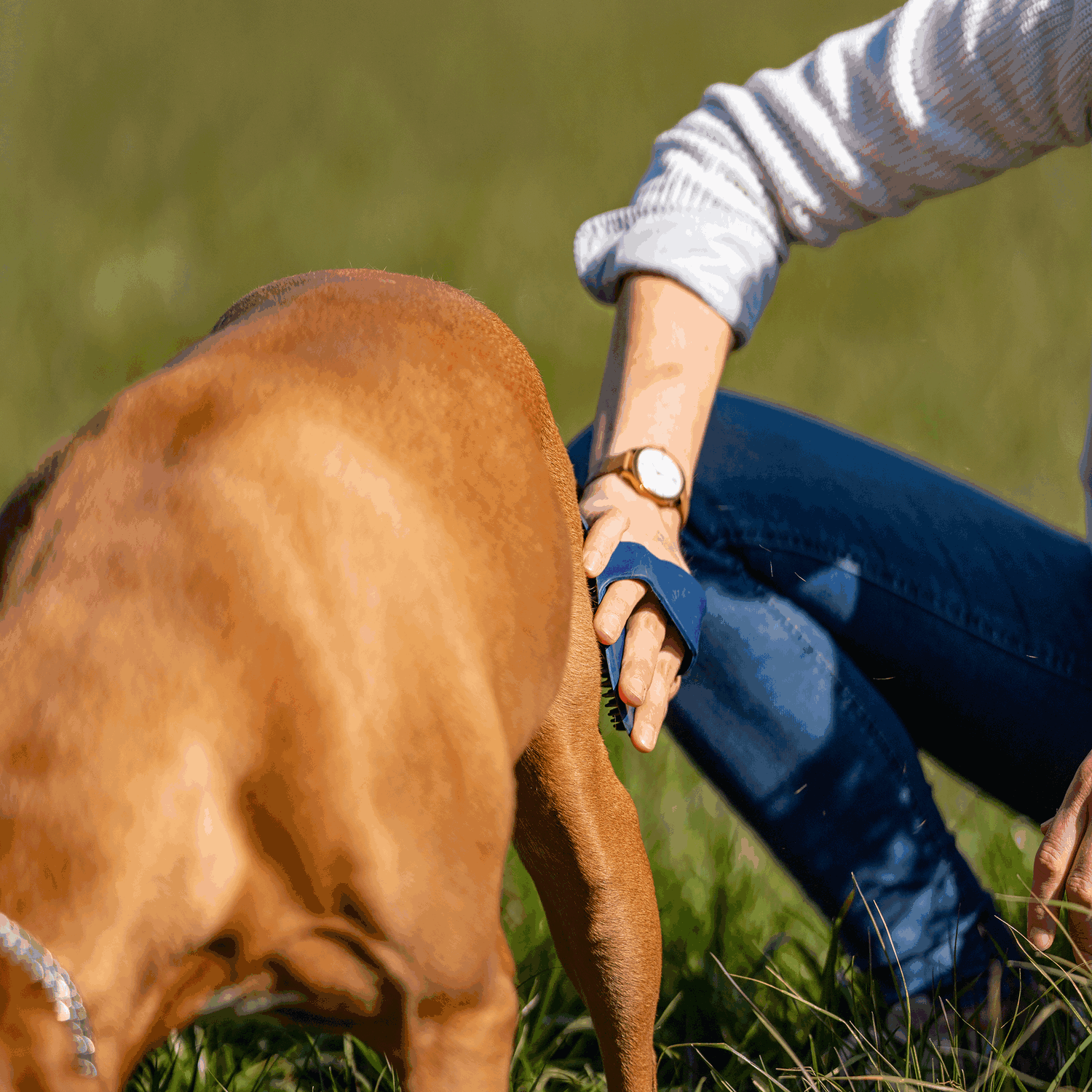 Striegel oval Gummi blau 150 x 100 mm | 5713200076_6.png | 1731103543