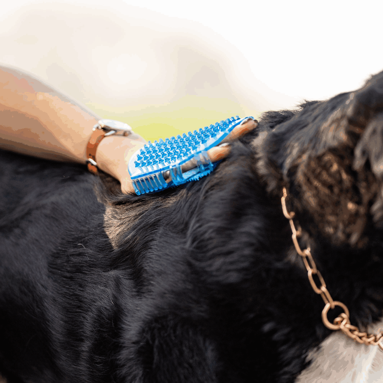 Gel Massagehandschuh Kunststoff pastell blau | 57160_002_00_1.png | 1731103544