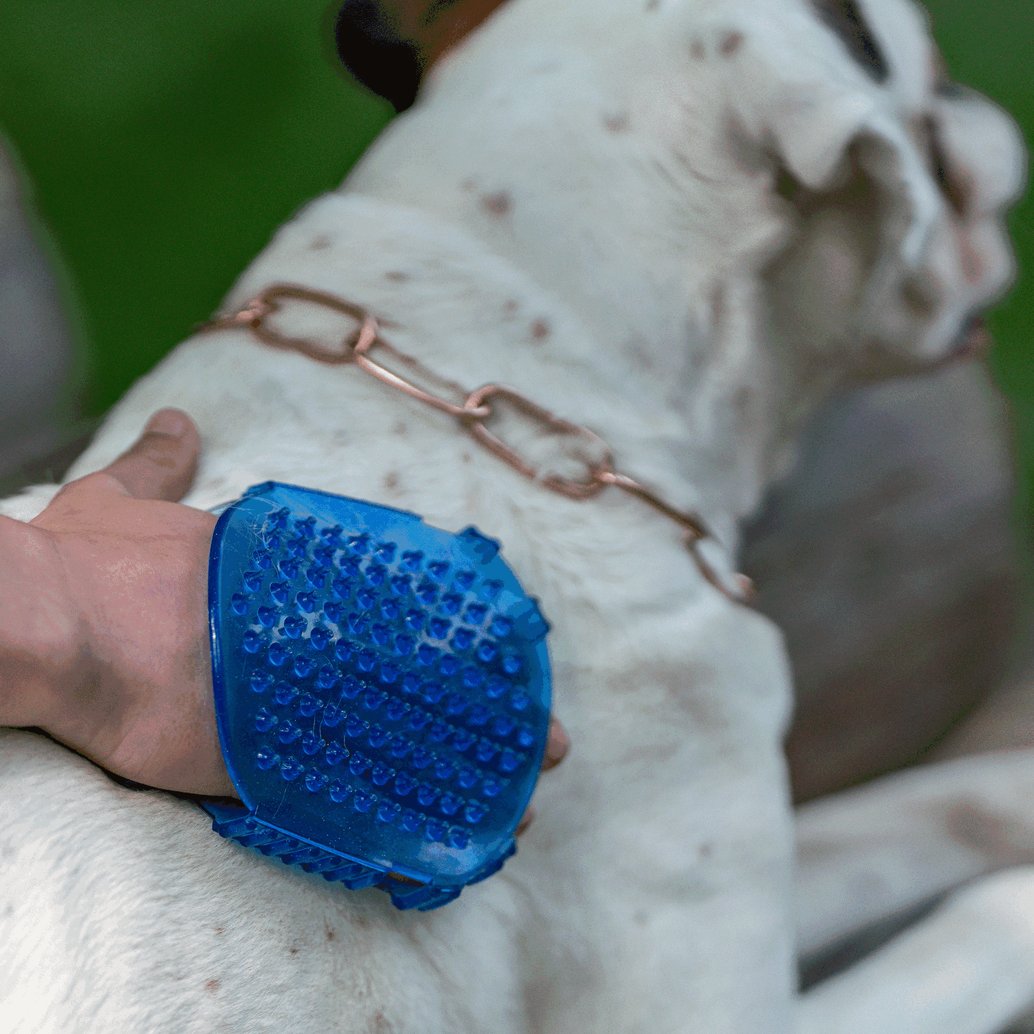 Gel Massagehandschuh Kunststoff pastell blau | 57160_002_00_5.png | 1731103545