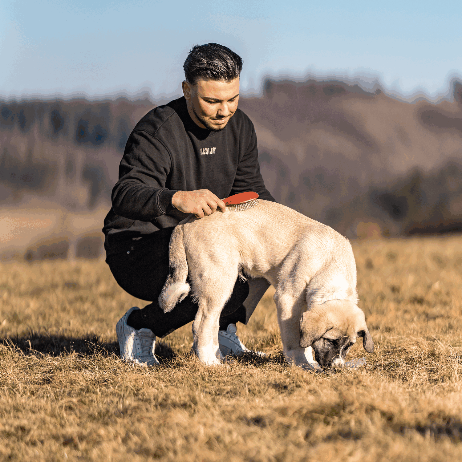 Hundebürste gestaucht 27 mm Metallstifte | 5723200100_4.png | 1731103546