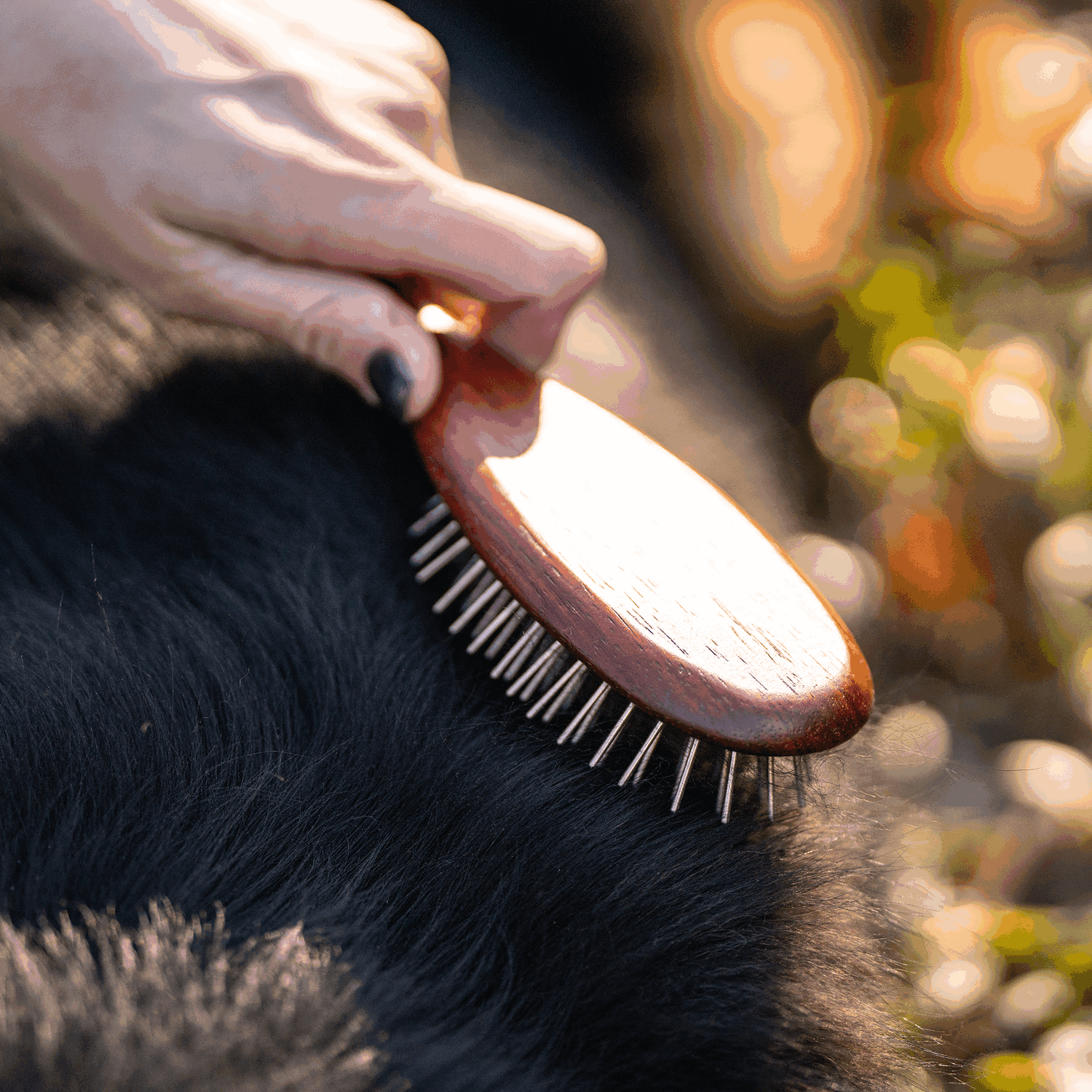 Hundebürste gestaucht 20 mm Metallstifte | 5723310000_3.png | 1731103549