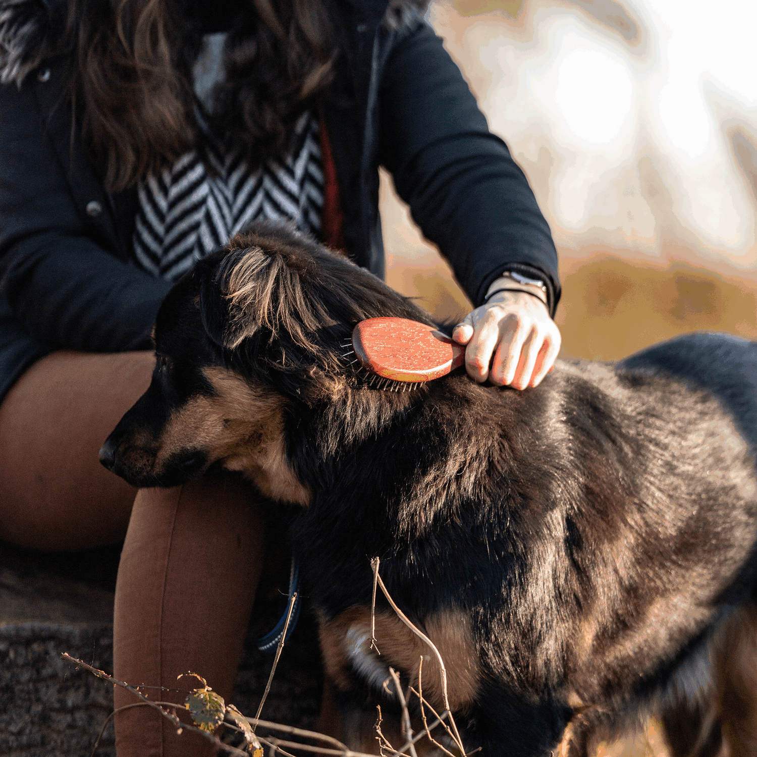 Hundebürste gestaucht 20 mm Metallstifte | 5723310000_4.png | 1731103549