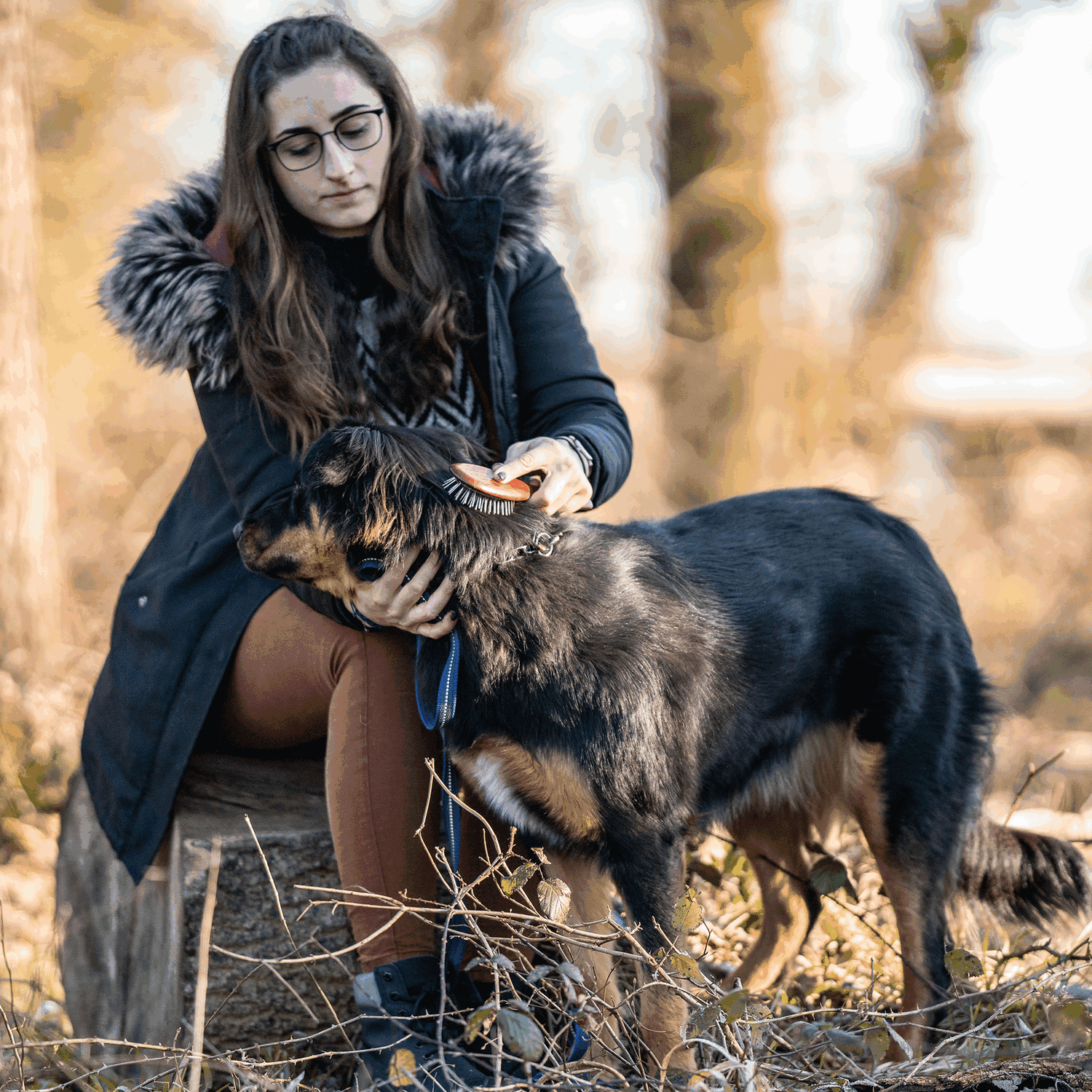 Hundebürste gestaucht 20 mm Metallstifte | 5723310000_5.png | 1731103550