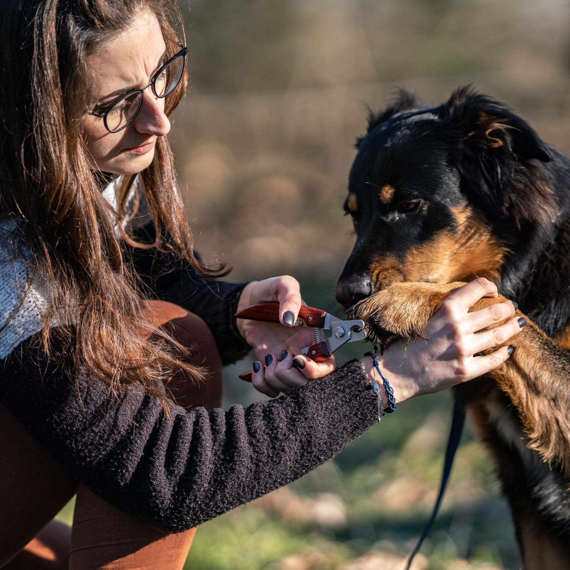 Krallenzange mit Holzgriff | 5750400100_1.png