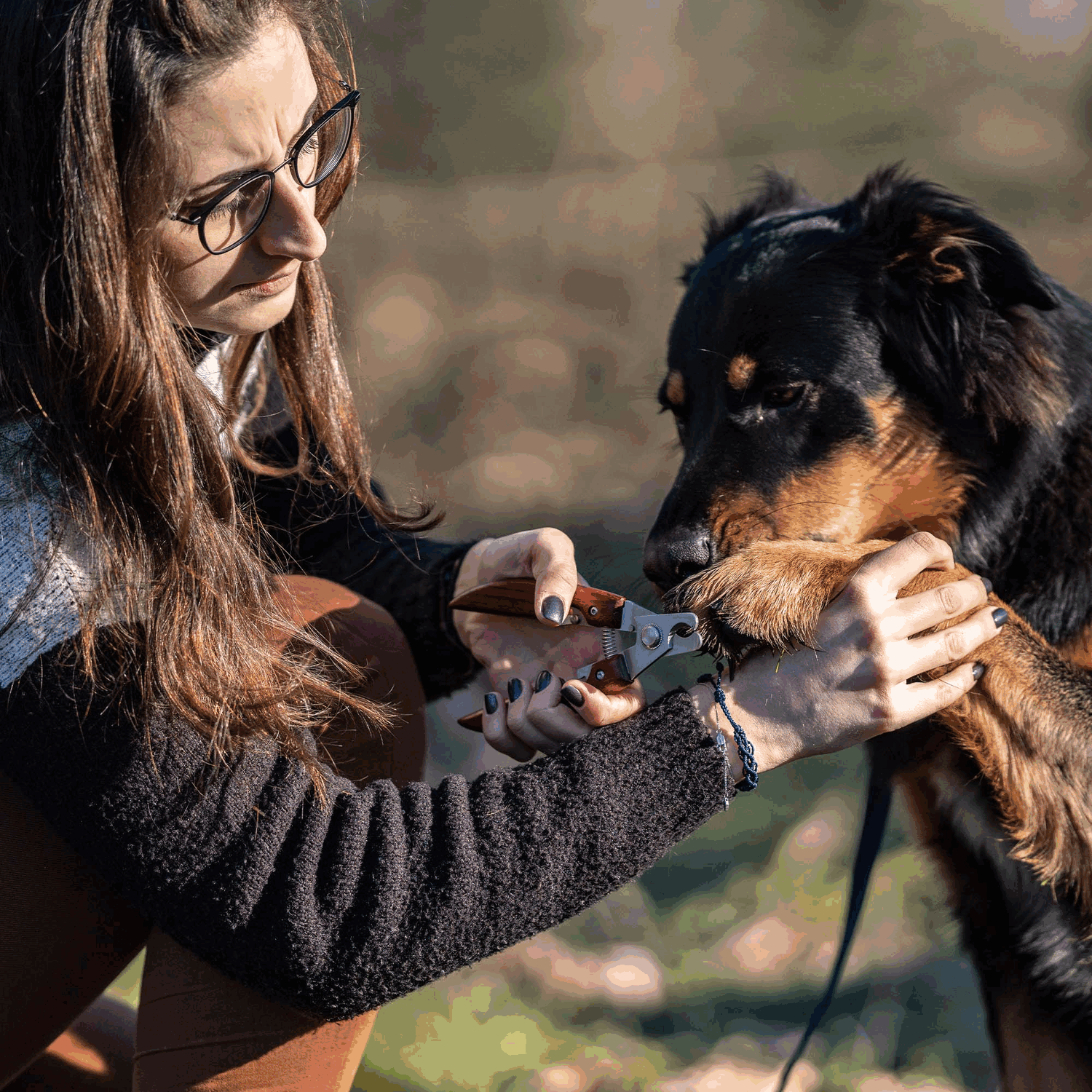 Krallenzange mit Holzgriff | 5750400100_1.png | 1731103561