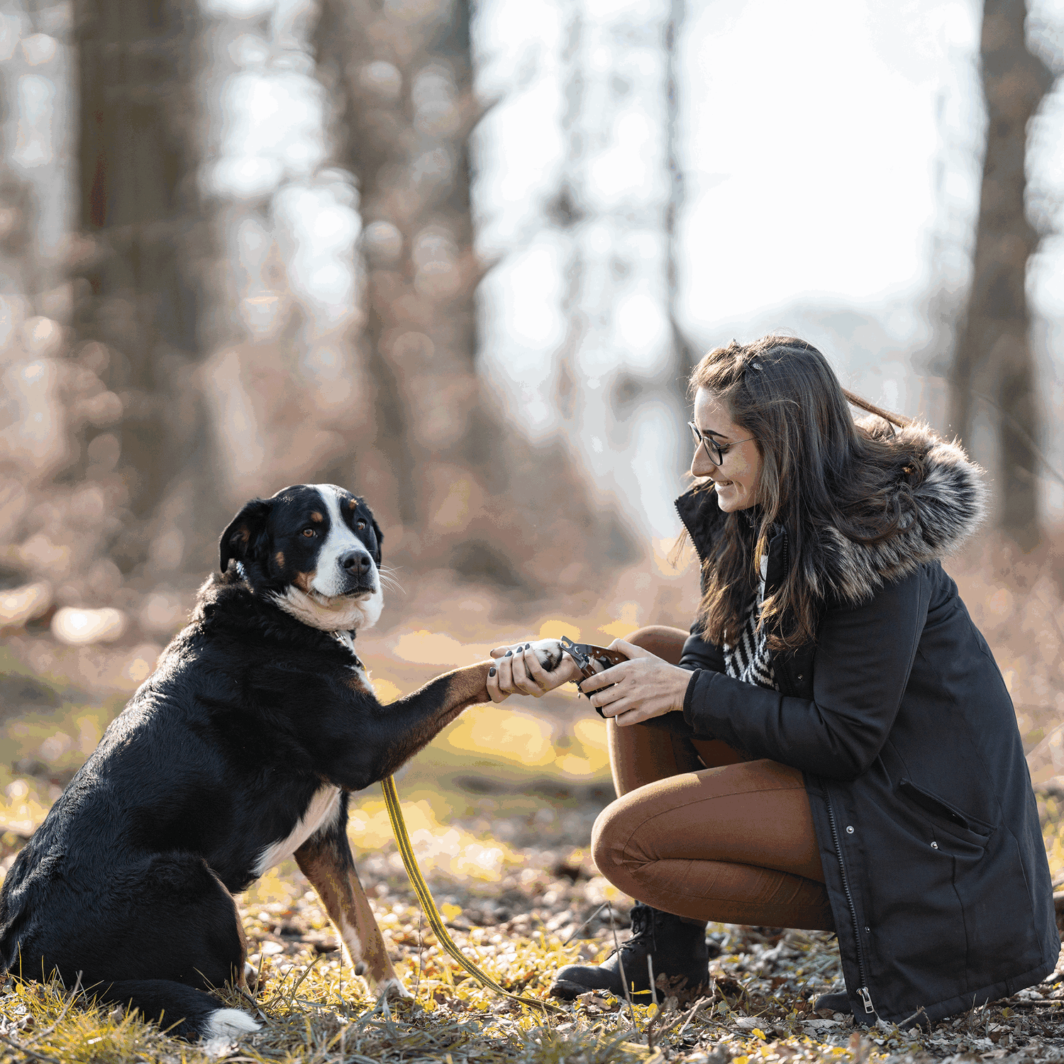 Krallenzange mit Holzgriff | 5750400100_4.png | 1731103562