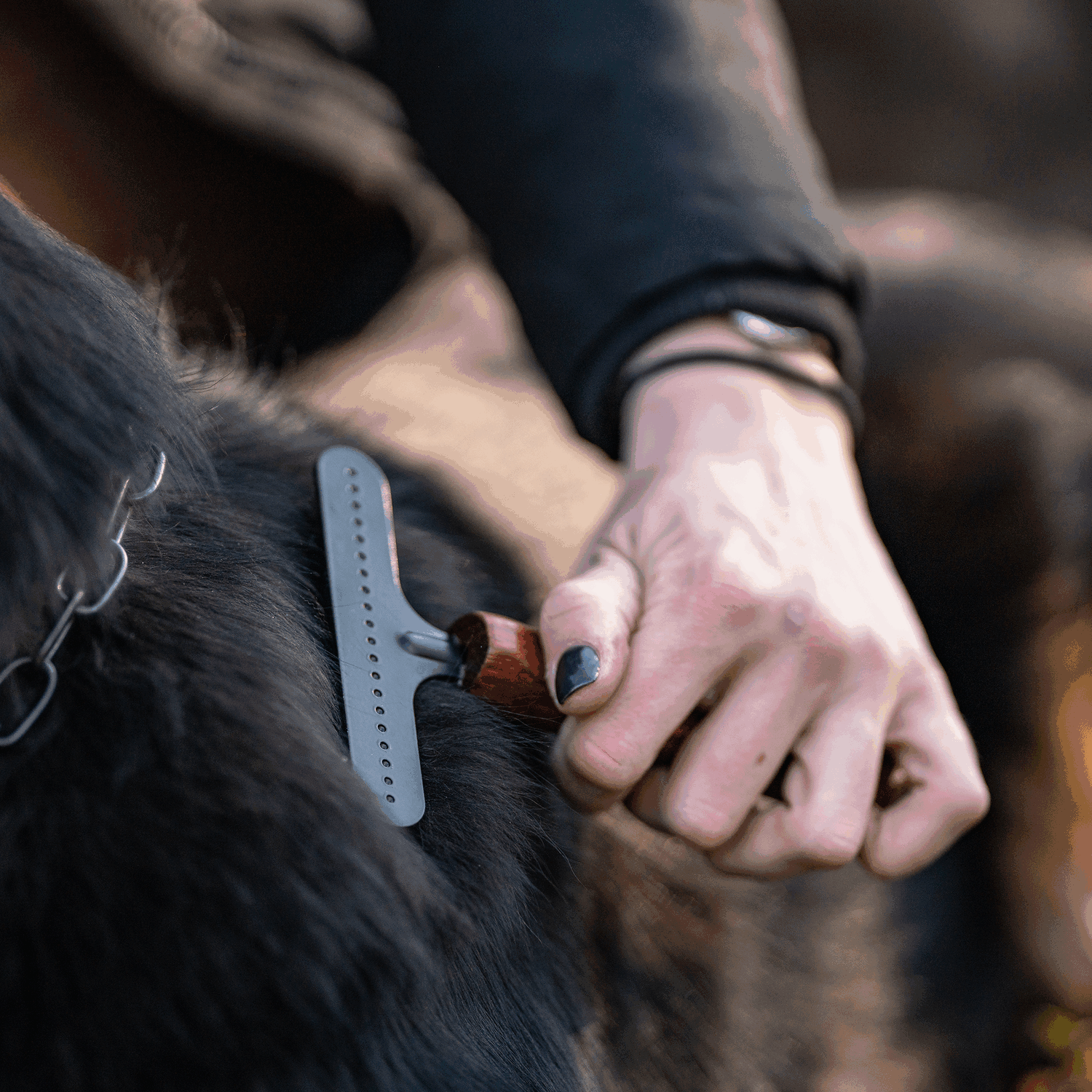 Hundekratzer Stahl beschichtet 1 reihig | 5759200100_7.png | 1731103571