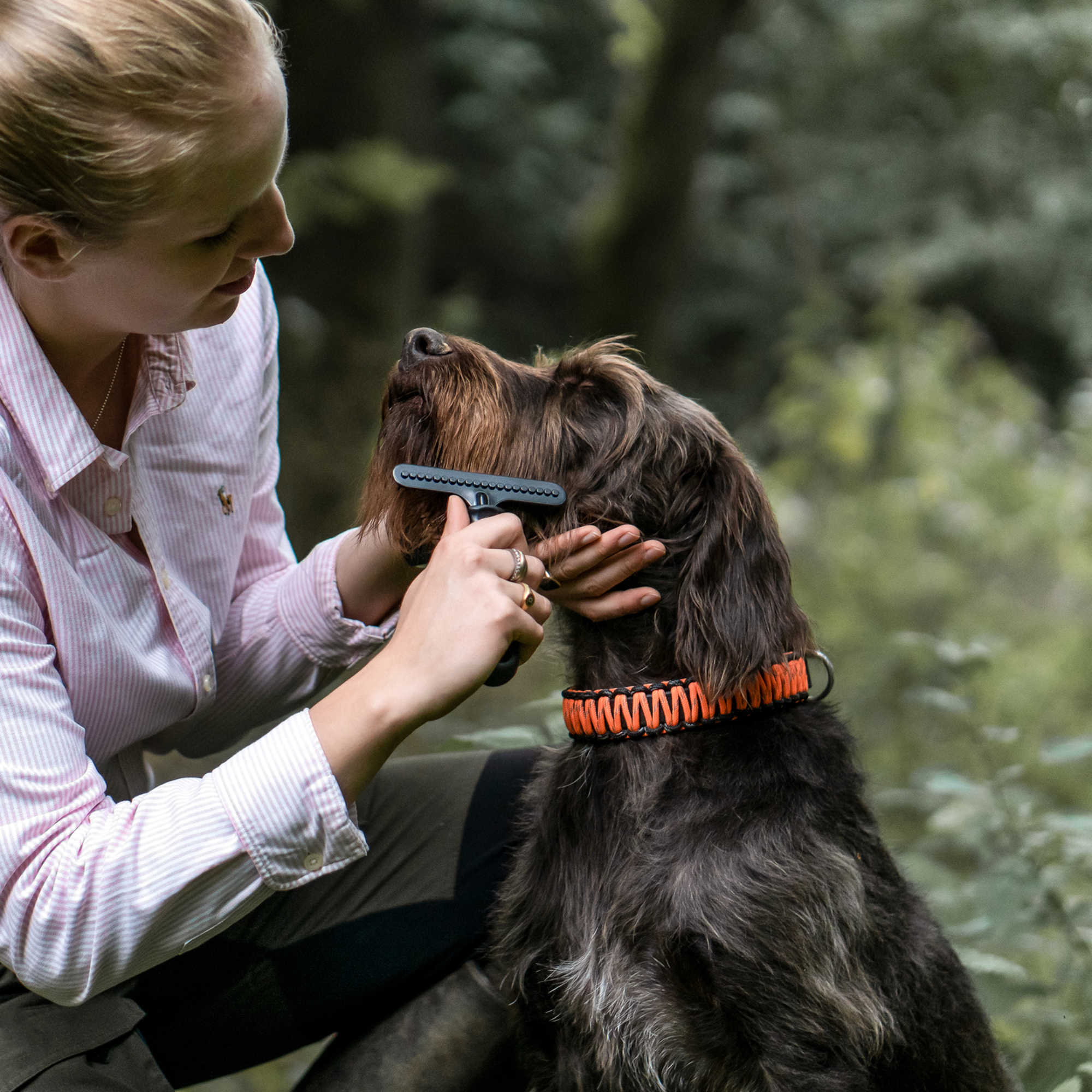 Hundekratzer Stahl beschichtet 1 reihig | 57592_00-1.png