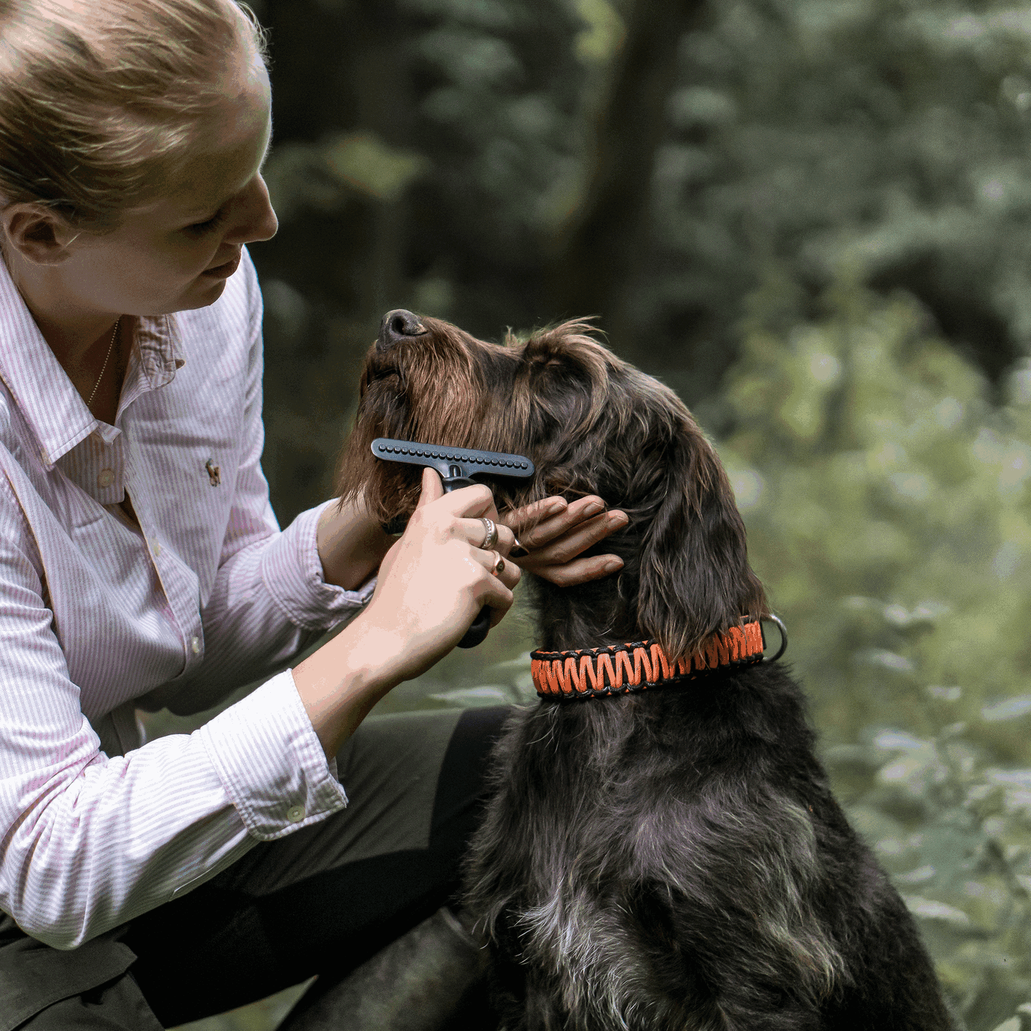 Hundekratzer Stahl beschichtet 1 reihig | 57592_00-1.png | 1731103572