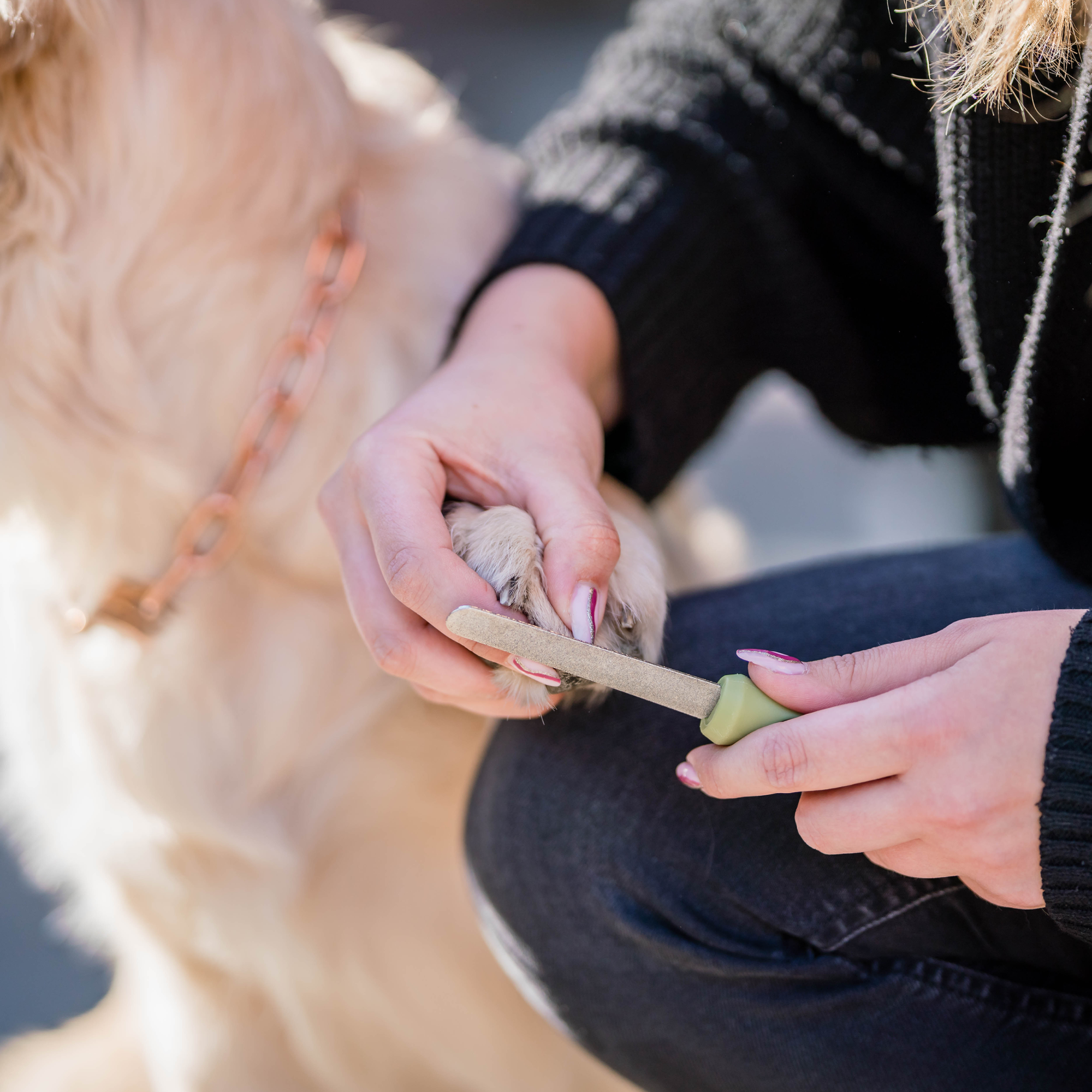 Safari® Hunde Nagelfeile | 5790001073_1.png